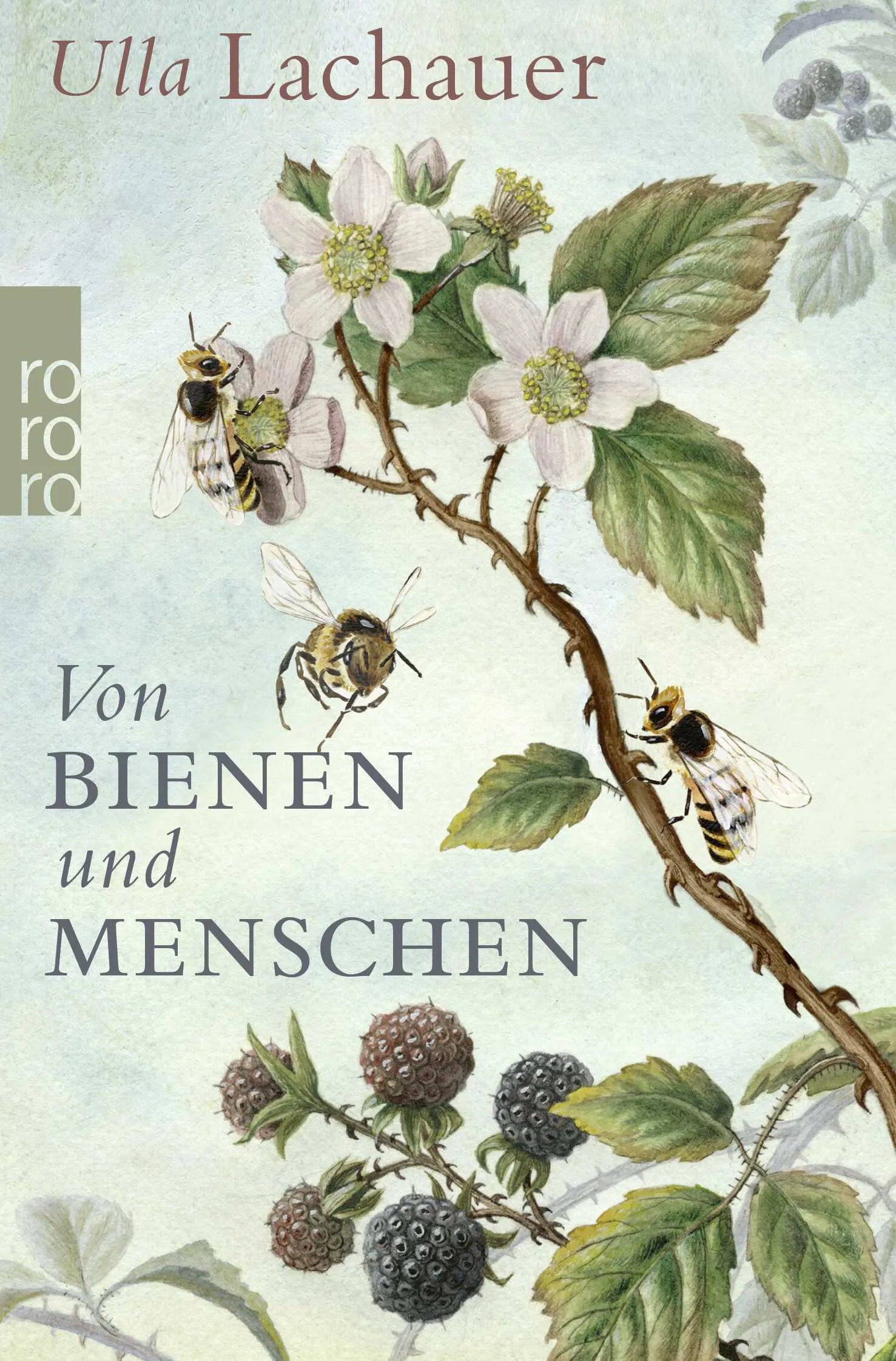 Buchcover von 'Von Bienen und Menschen' - Taschenbuch von Ulla Lachauer