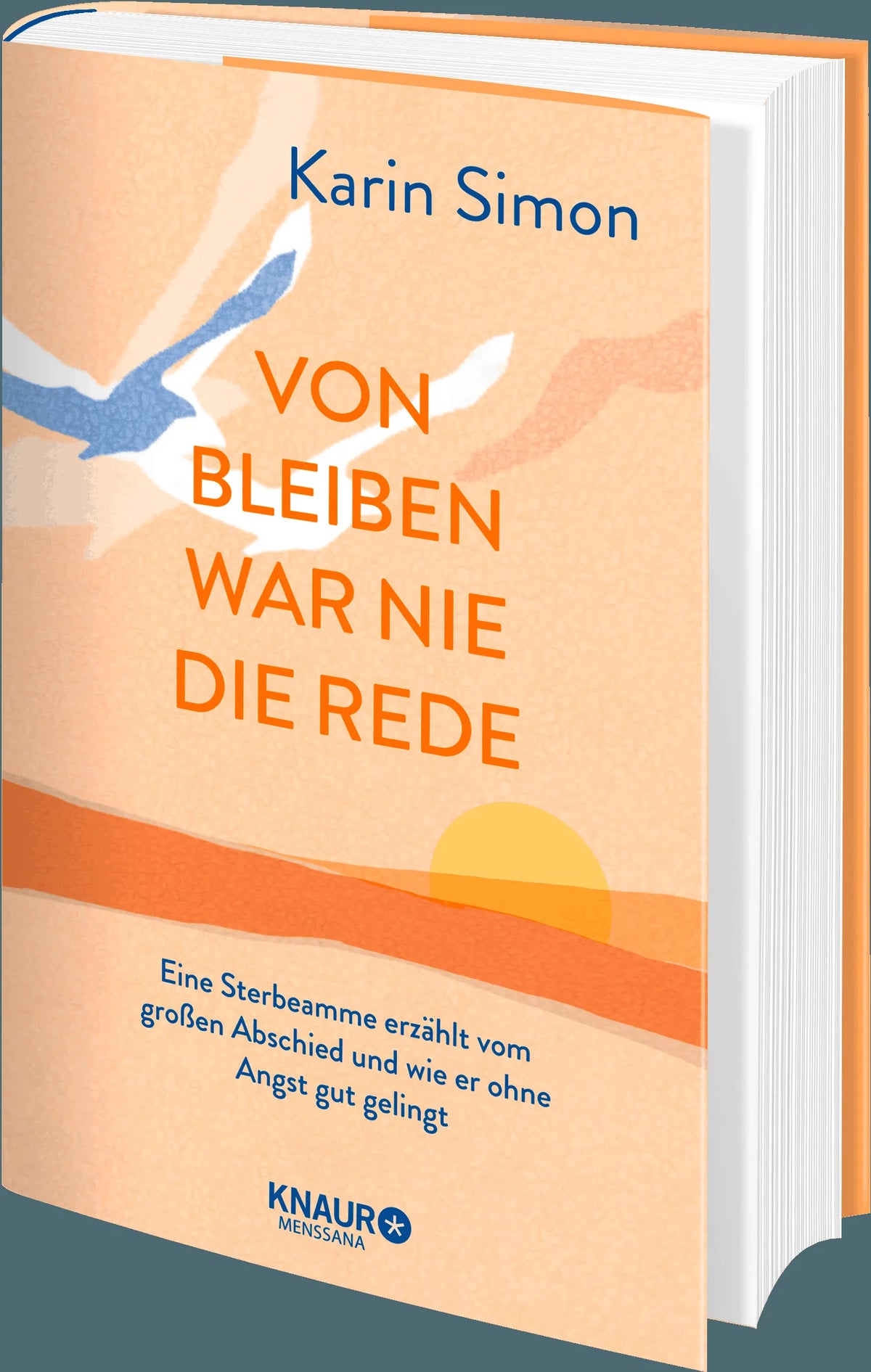 Detailansicht: Von Bleiben war nie die Rede (Hardcover)