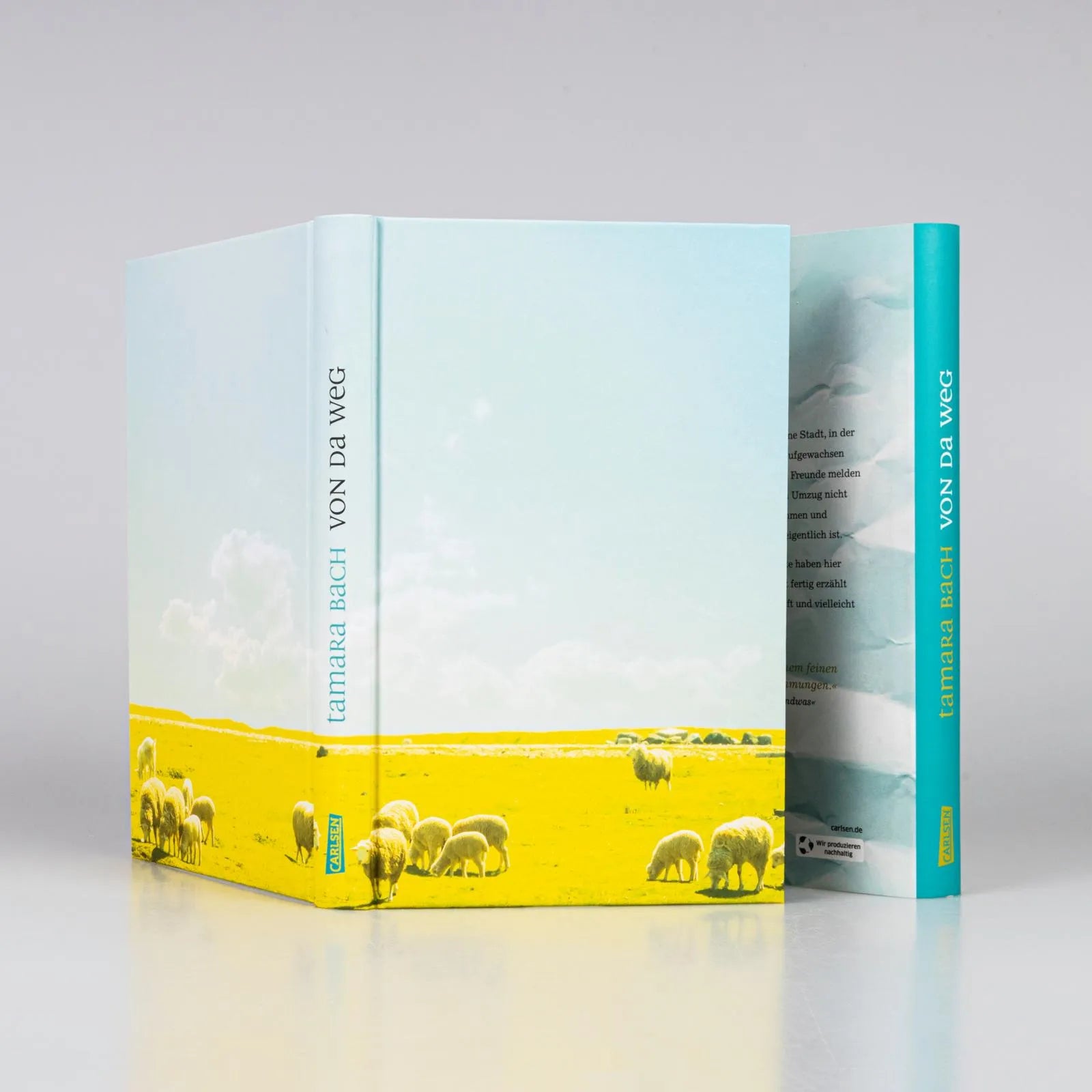 Produktansicht: Von da weg (Gebundene Ausgabe)