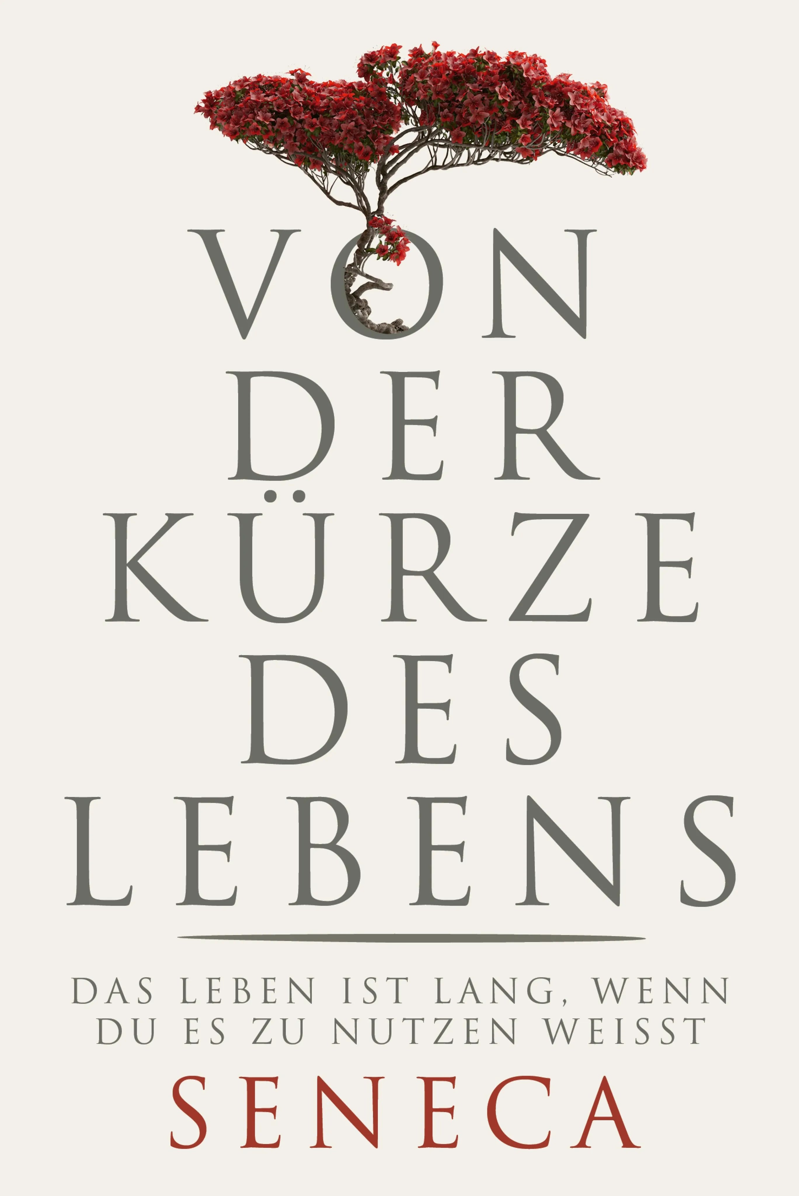 Cover: Von der Kürze des Lebens (E-Book) von Lucius Annaeus Seneca