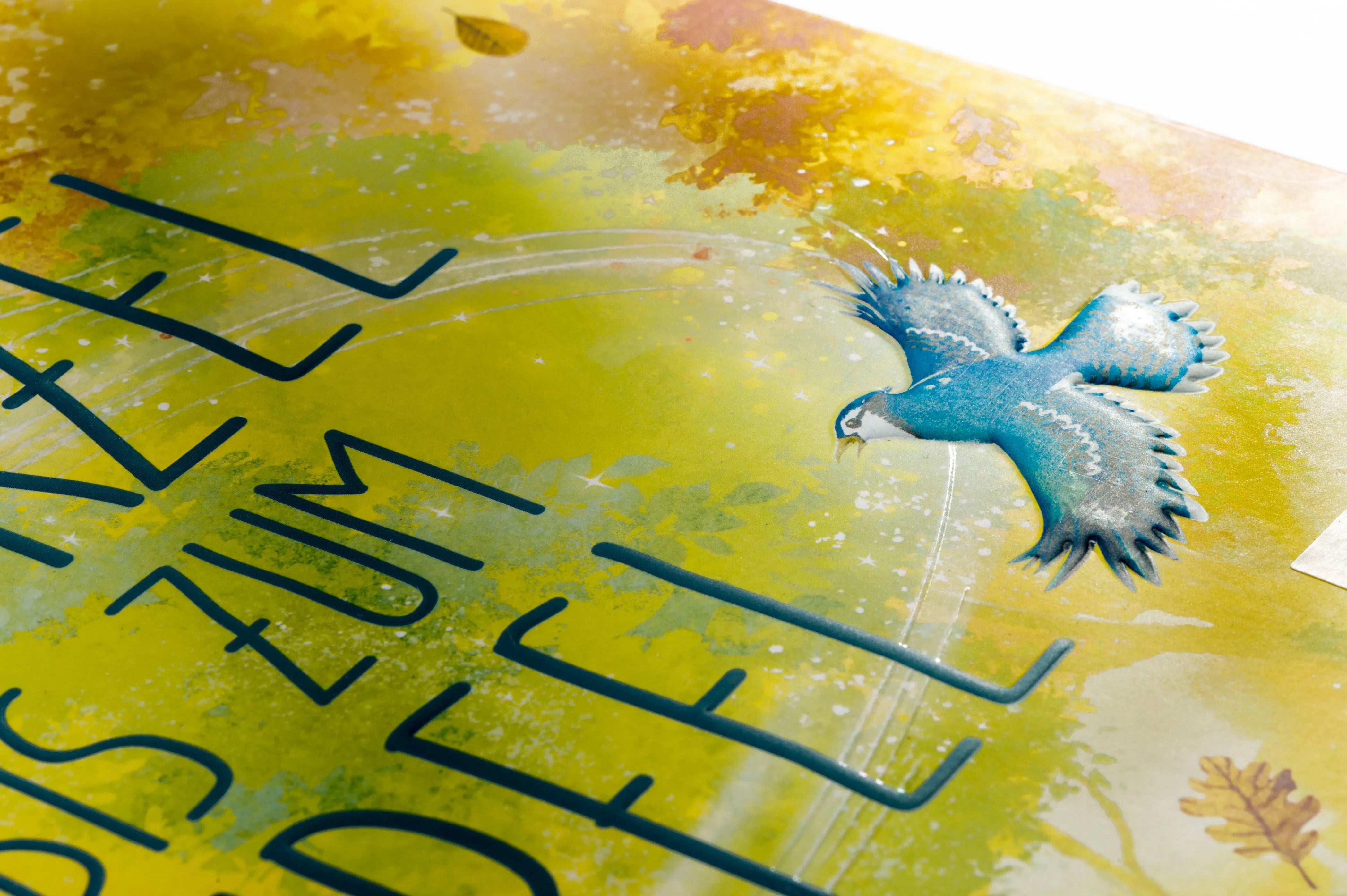 Detailansicht: Von der Wurzel bis zum Wipfel (Hardcover)