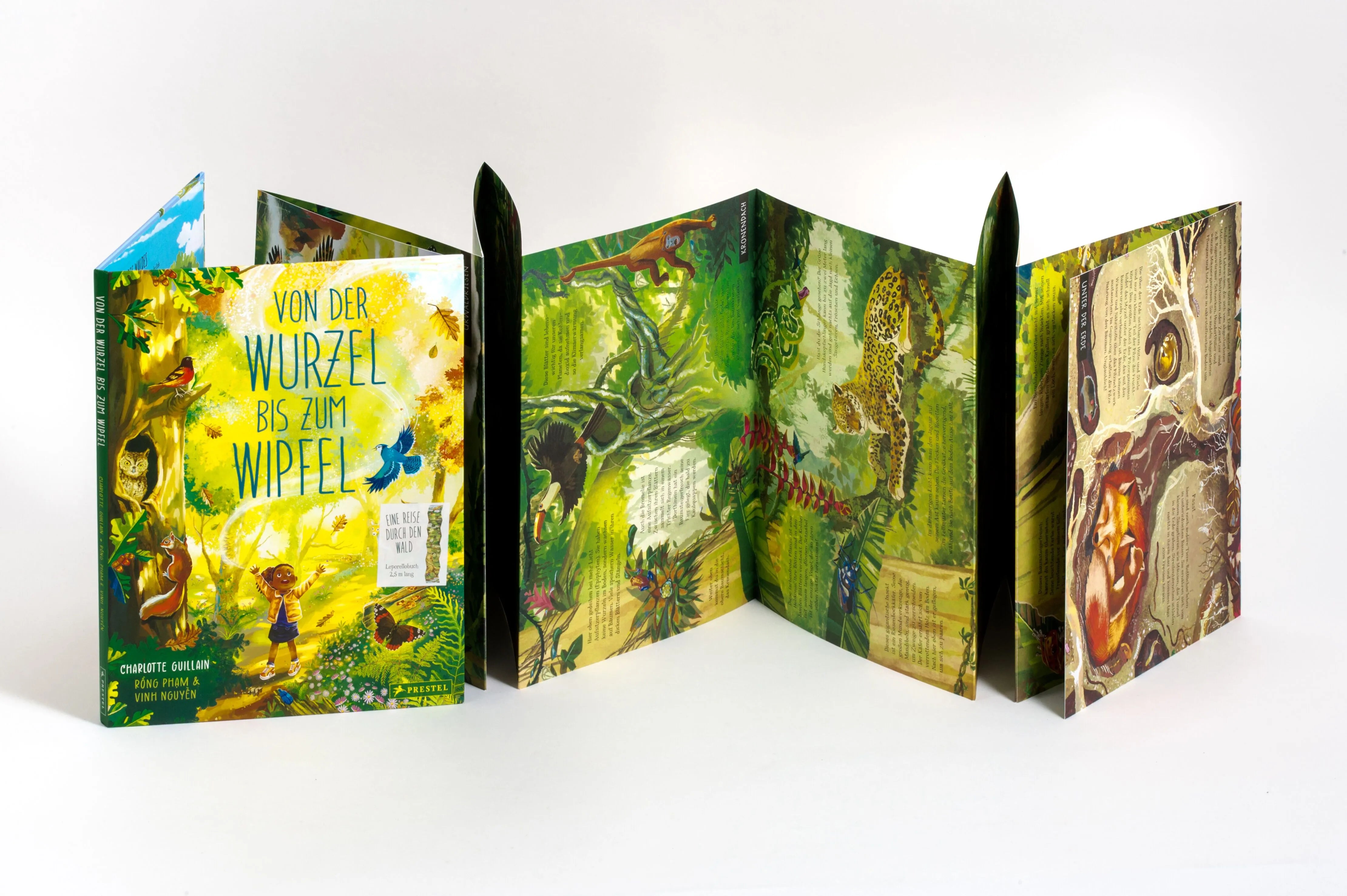 Detailansicht: Von der Wurzel bis zum Wipfel (Hardcover)