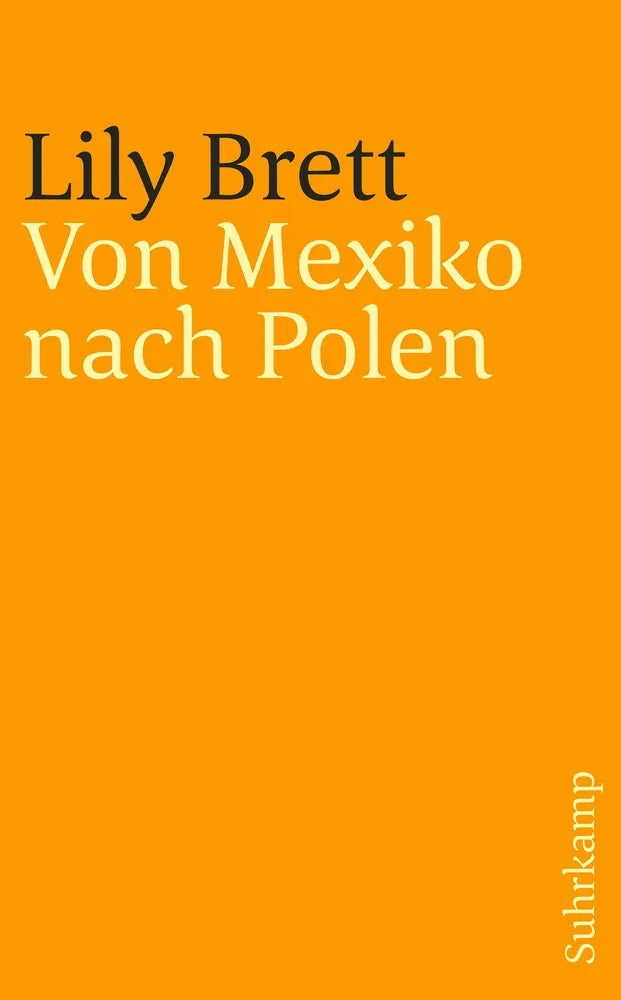 Cover: Von Mexiko nach Polen (E-Book) von Lily Brett