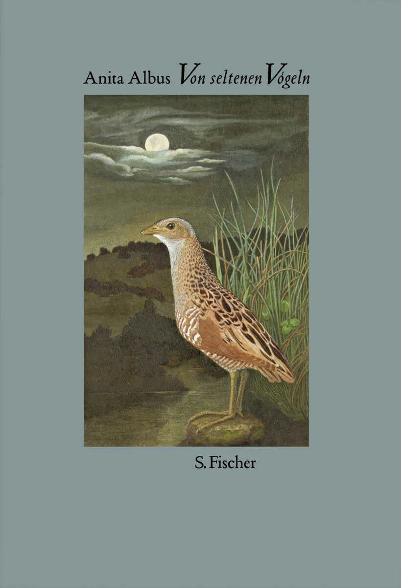 Buchcover von 'Von seltenen Vögeln' - Gebundene Ausgabe von Anita Albus