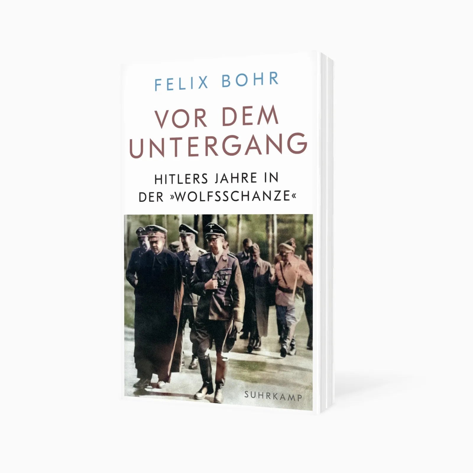 Detailansicht: Vor dem Untergang (Taschenbuch)