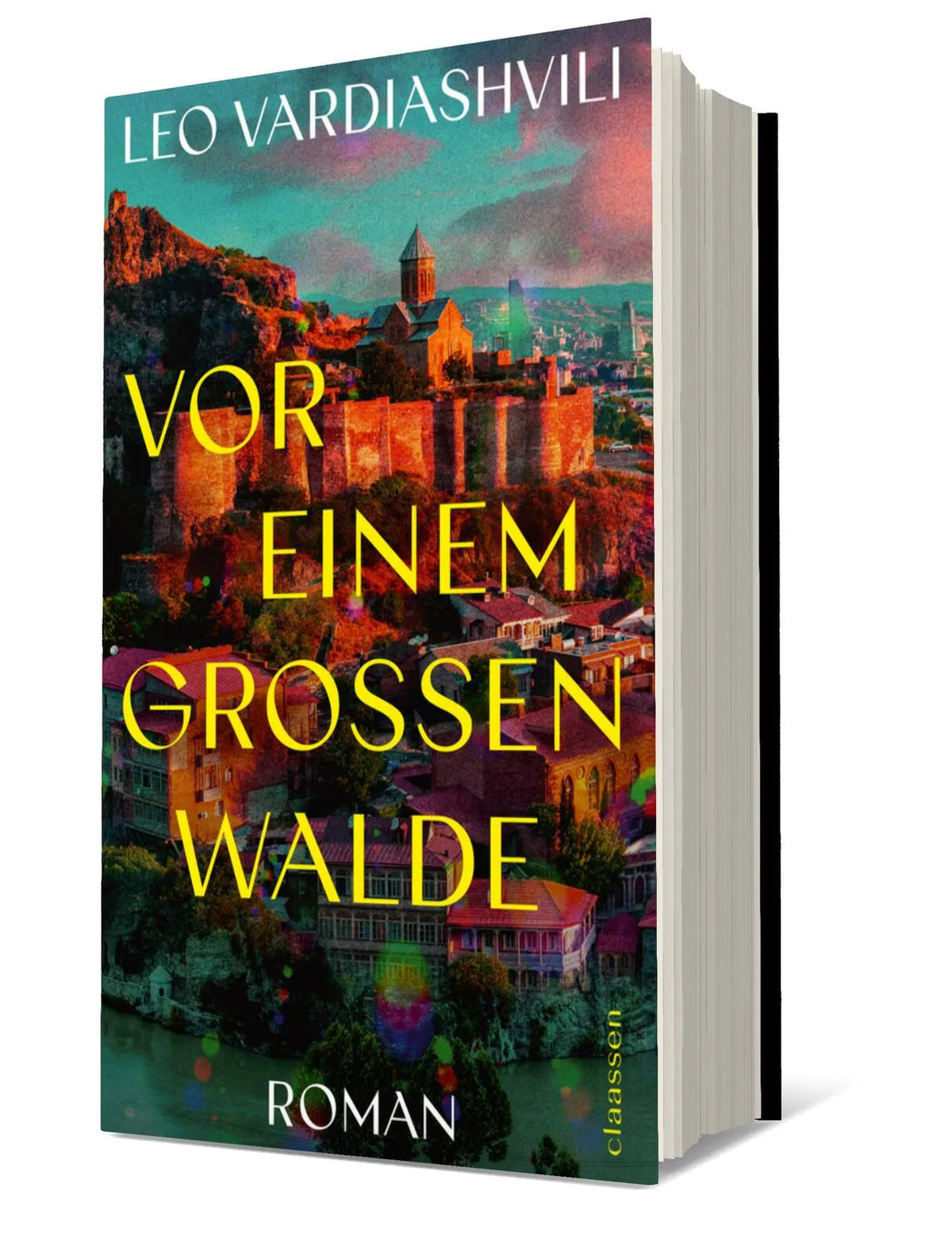 Buchcover von 'Vor einem großen Walde' - Gebundene Ausgabe von Leo Vardiashvili