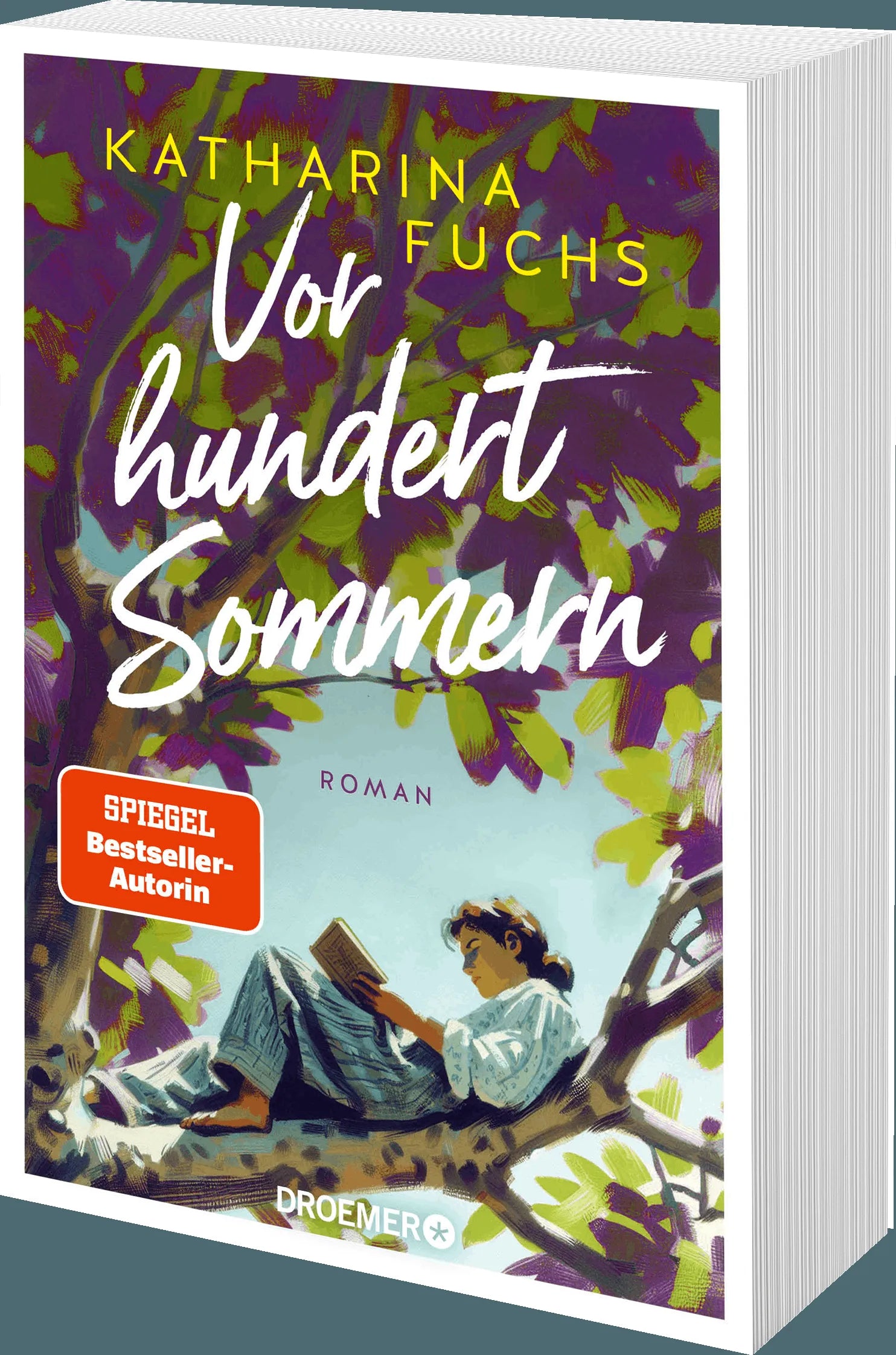 Detailansicht: Vor hundert Sommern (Taschenbuch)