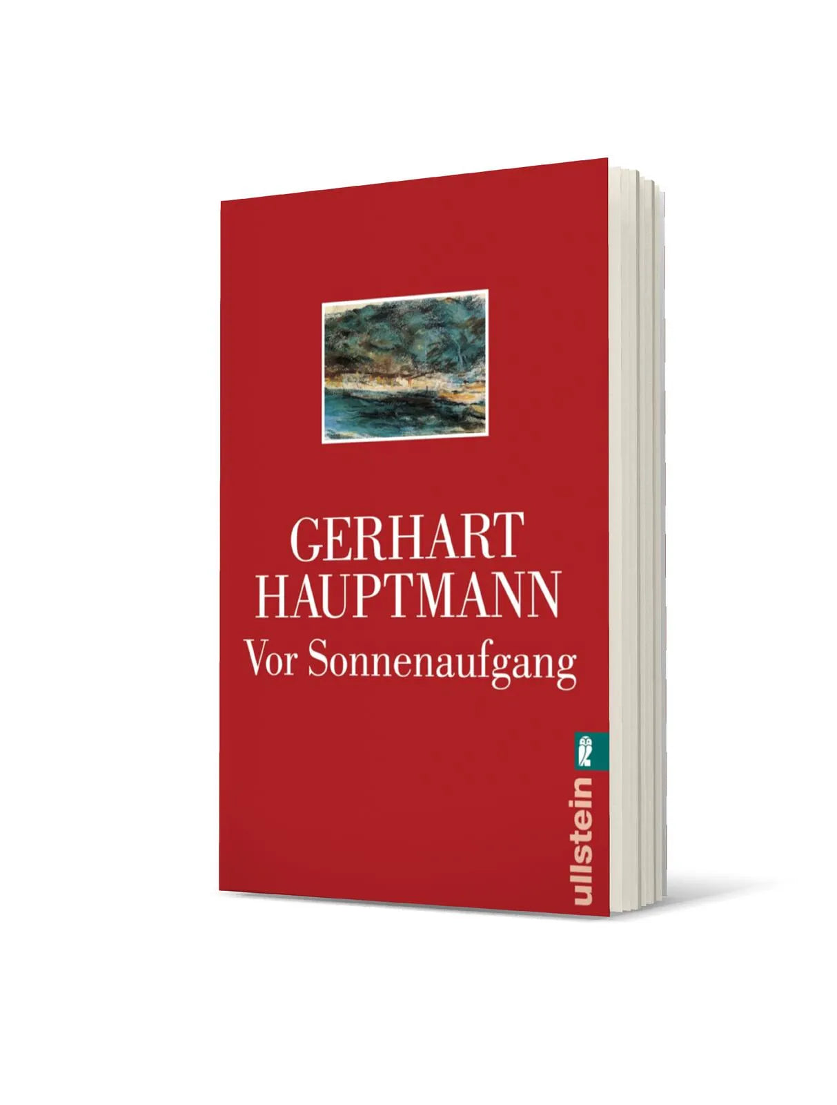 Produktansicht: Vor Sonnenaufgang (Taschenbuch)