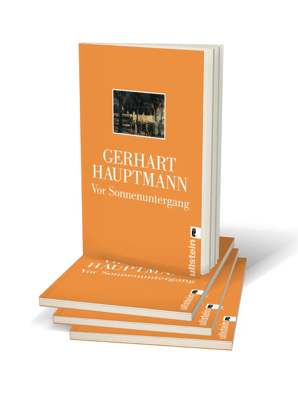 Produktansicht: Vor Sonnenuntergang (Taschenbuch)