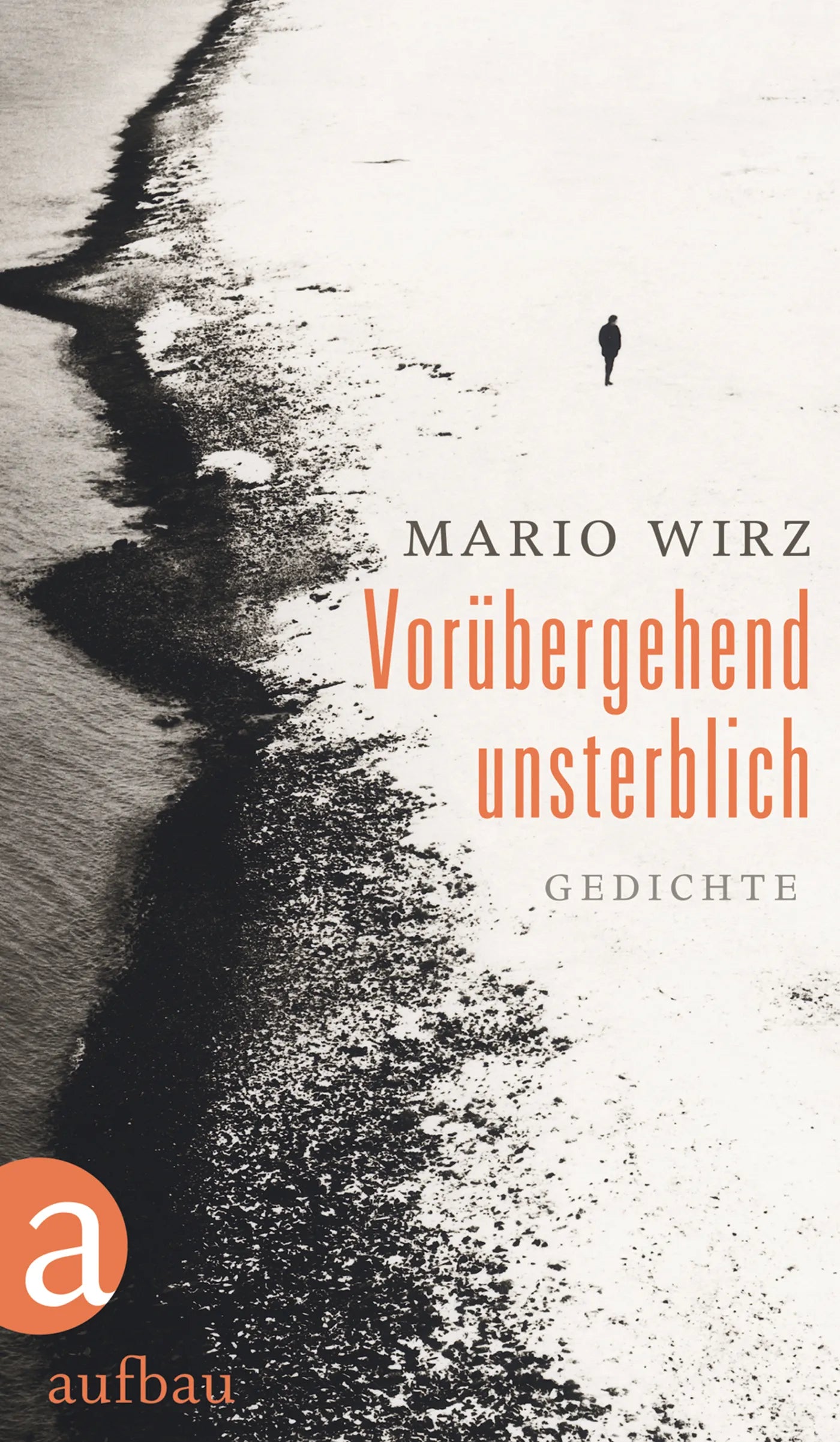 Buchcover von 'Vorübergehend unsterblich' - Gebundene Ausgabe von Mario Wirz
