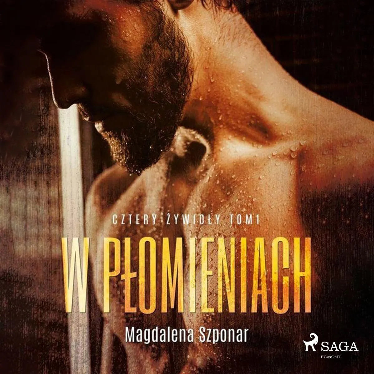 Cover: W płomieniach. Cztery żywioły tom 1 (Hörbuch Download) von Magdalena Szponar