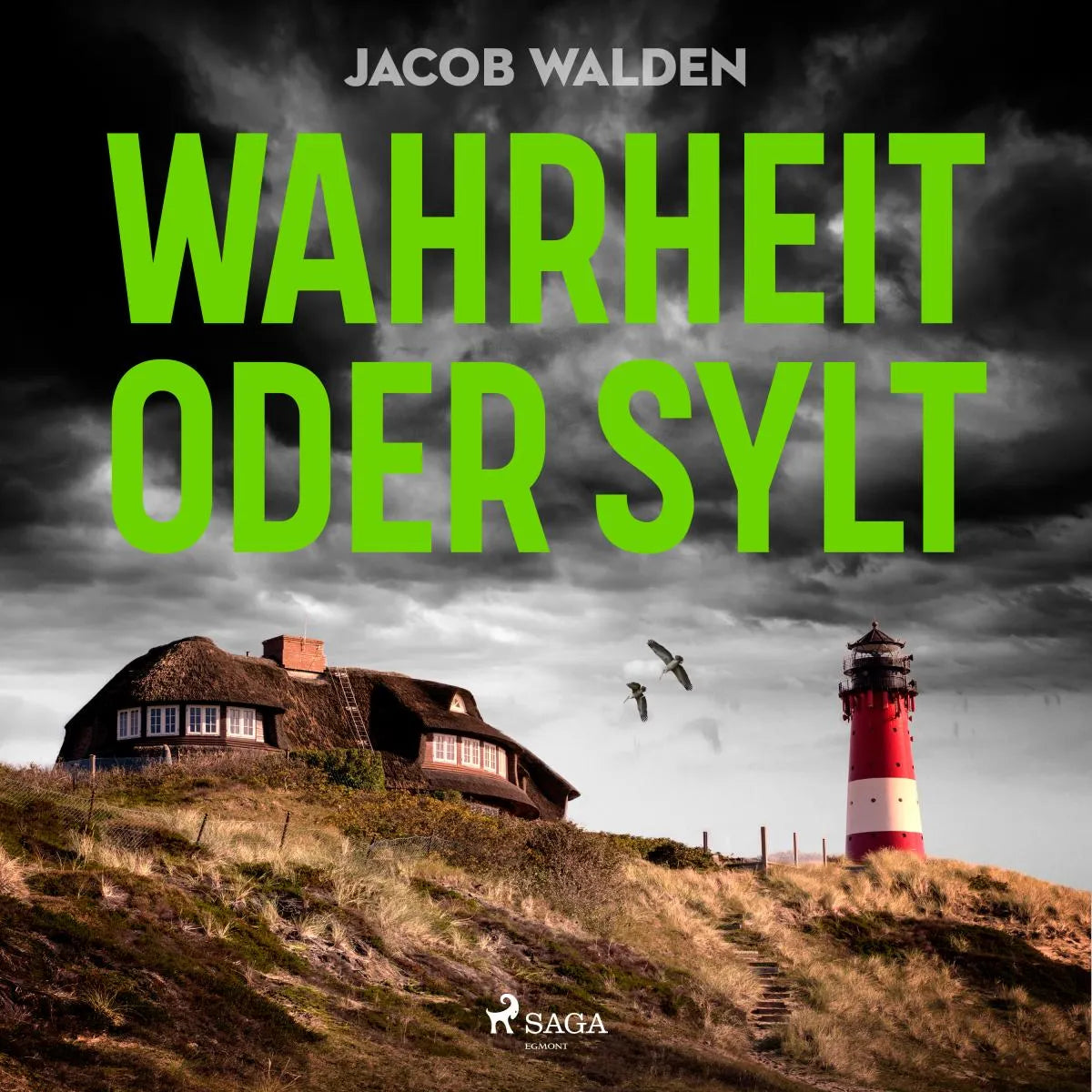 Cover: Wahrheit oder Sylt (Hörbuch Download) von Jacob Walden