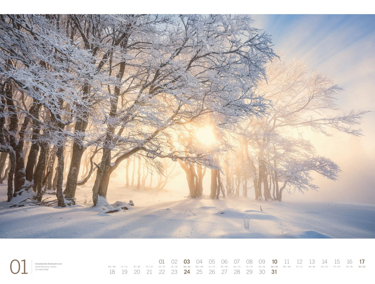 Wald Gallery Kalender 2027 – Ansicht