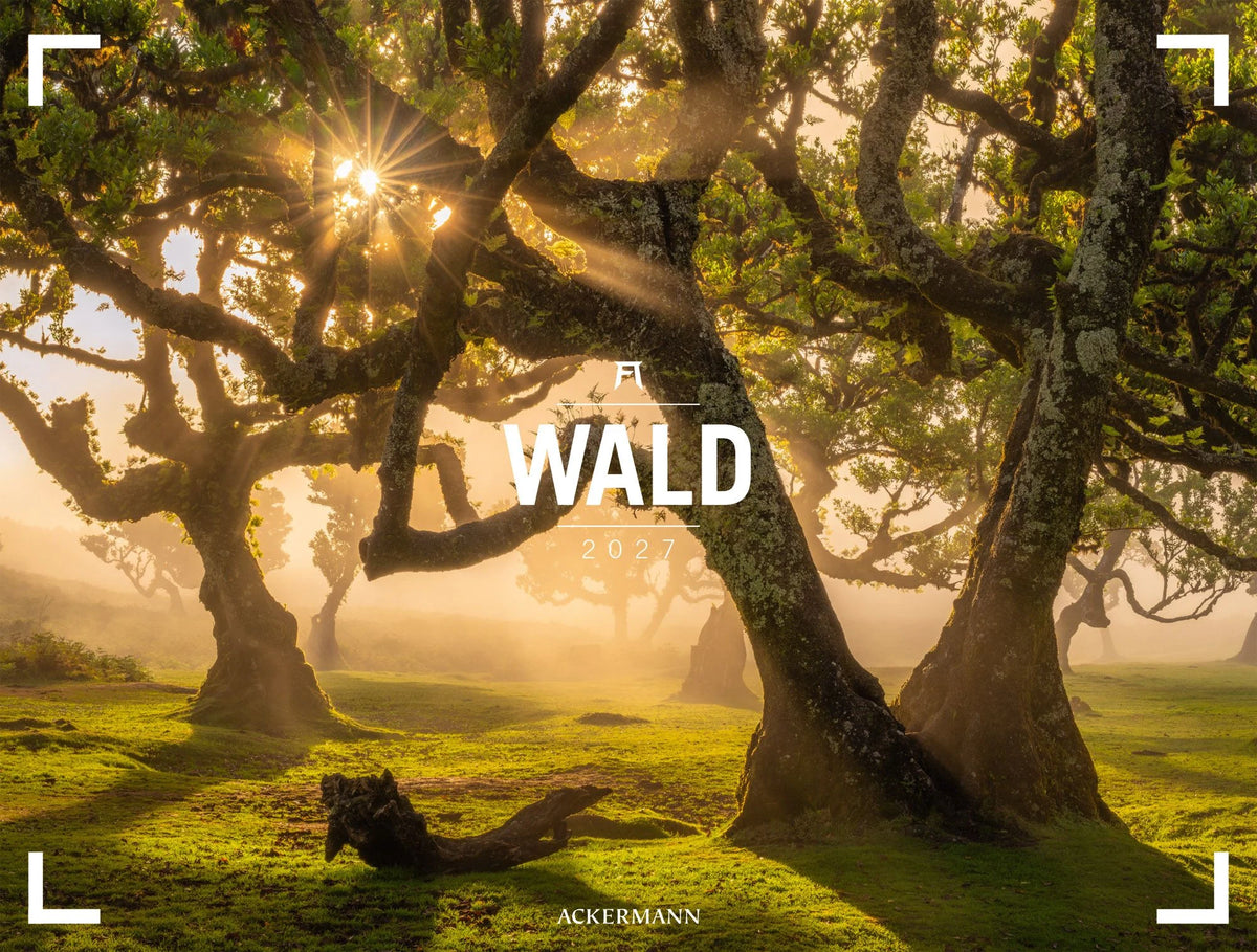Wandkalender: Wald Gallery Kalender 2027