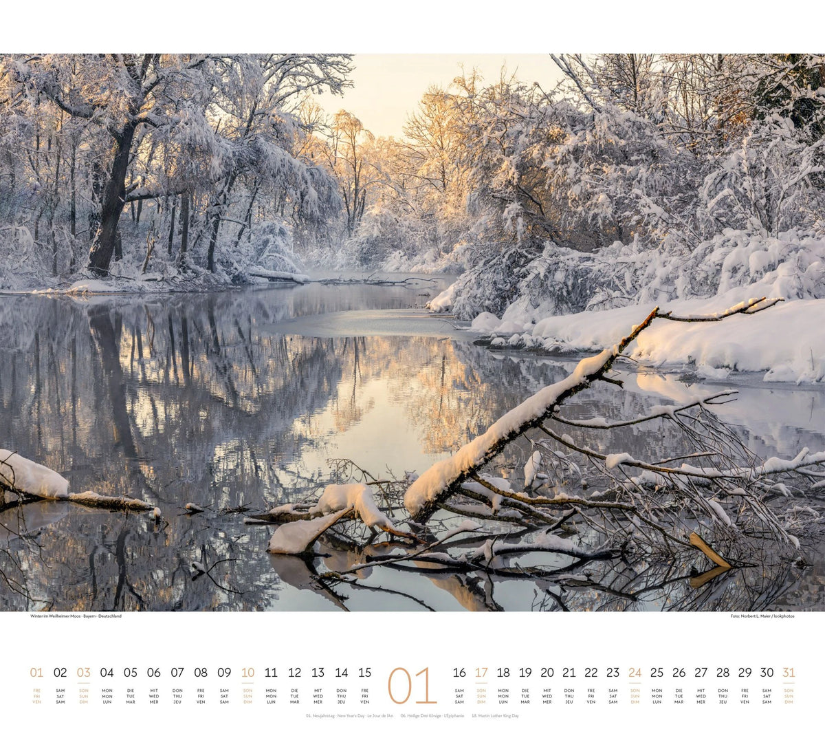 Wald Kalender 2027 – Ansicht