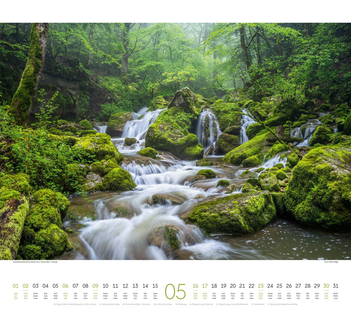 Wald Kalender 2027 – Ansicht