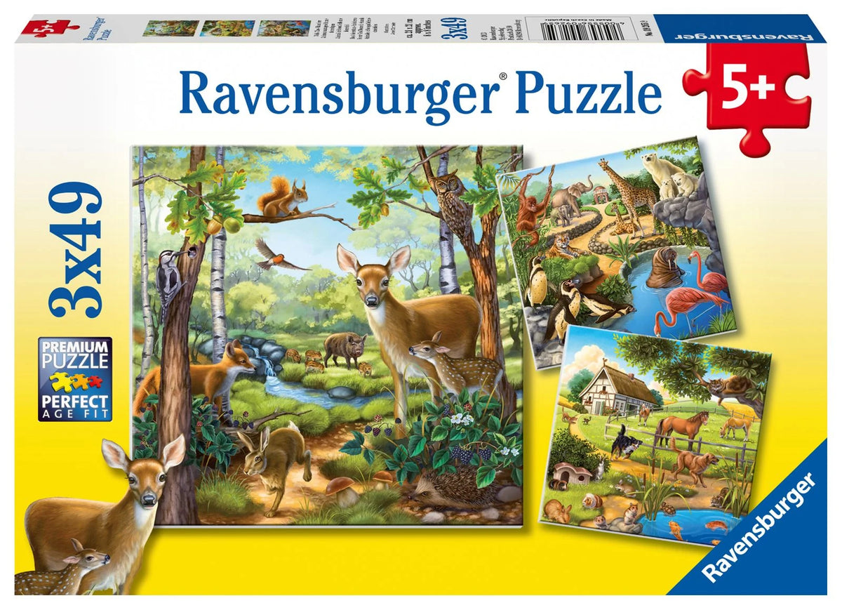 Kinderpuzzle: Kinderpuzzle 3x49 Teile - Wald-/Zoo-/Haustiere