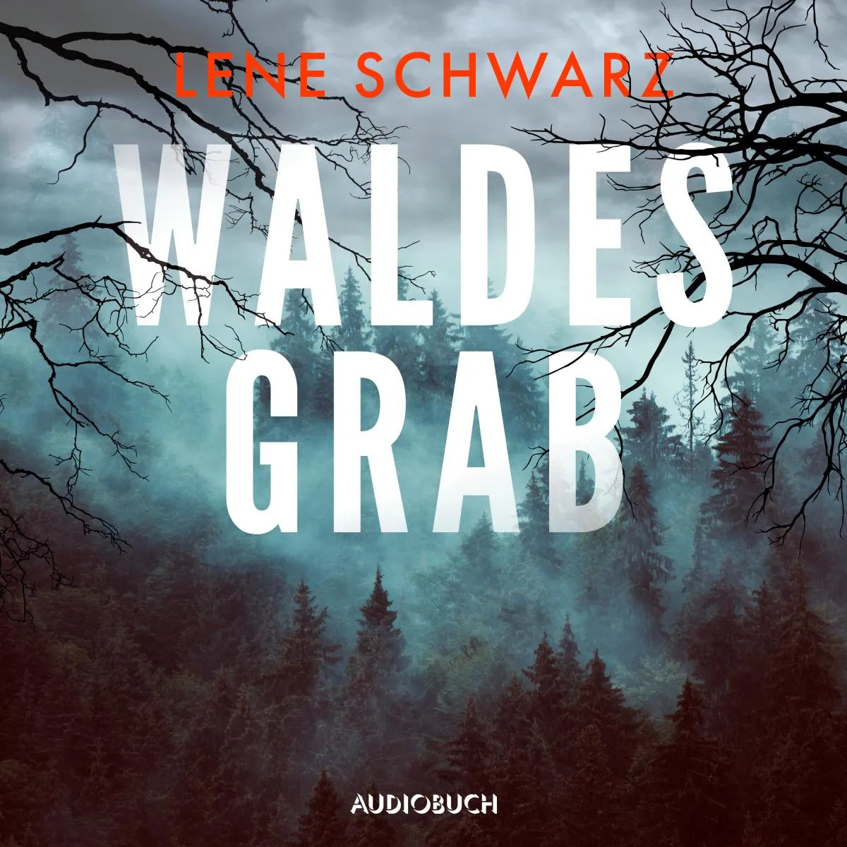 Cover: Waldesgrab (Hörbuch Download) von Lene Schwarz