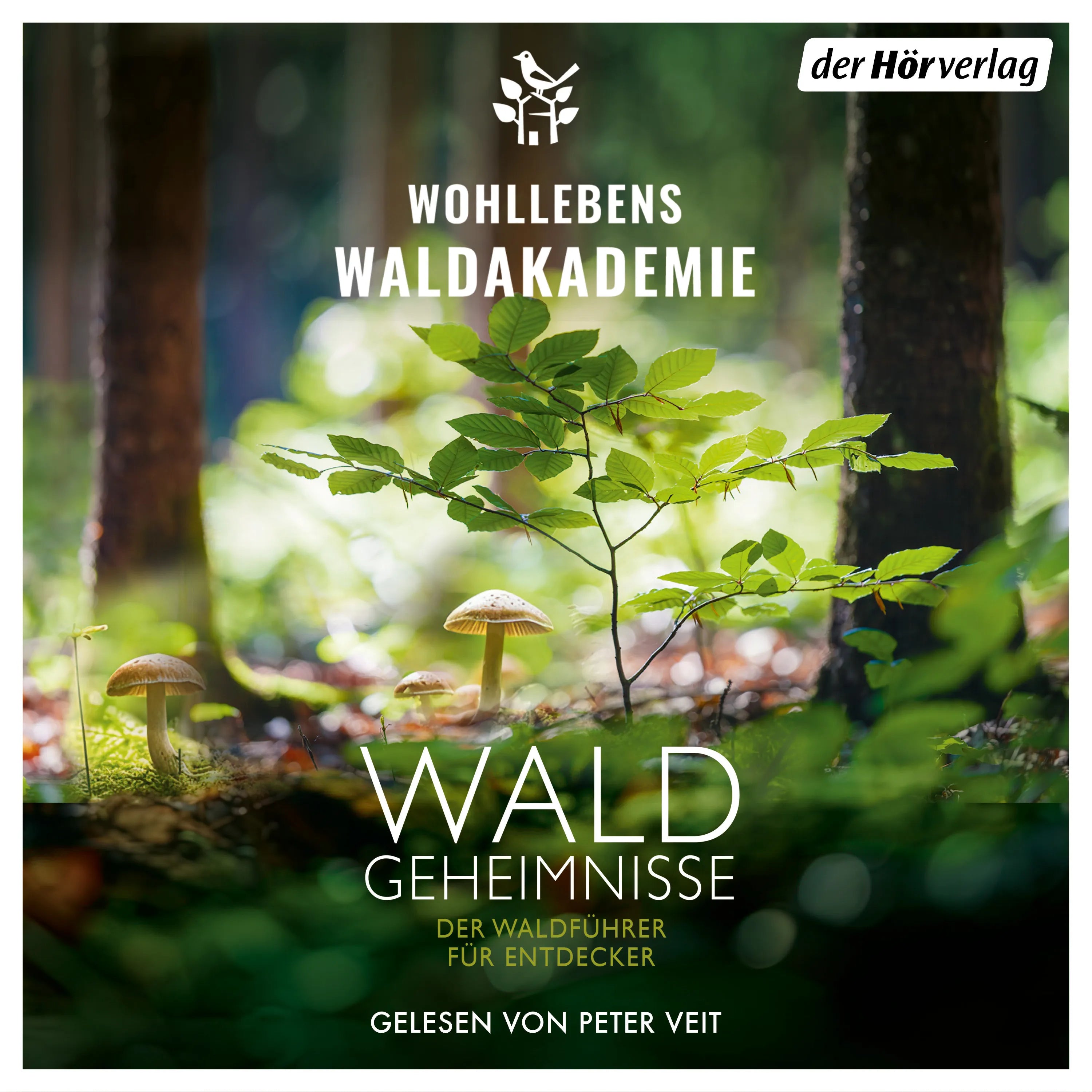 Cover: Waldgeheimnisse (Hörbuch Download) von Wohllebens Waldakademie