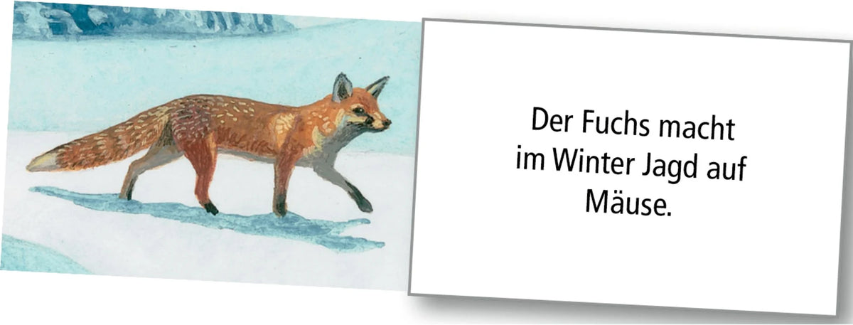 Wand-Adventskalender – Wintertiere bei Nacht – Ansicht