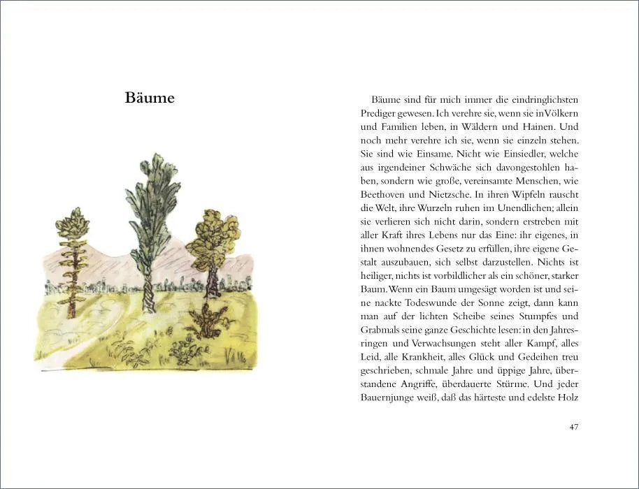 Hermann Hesse - Wanderung