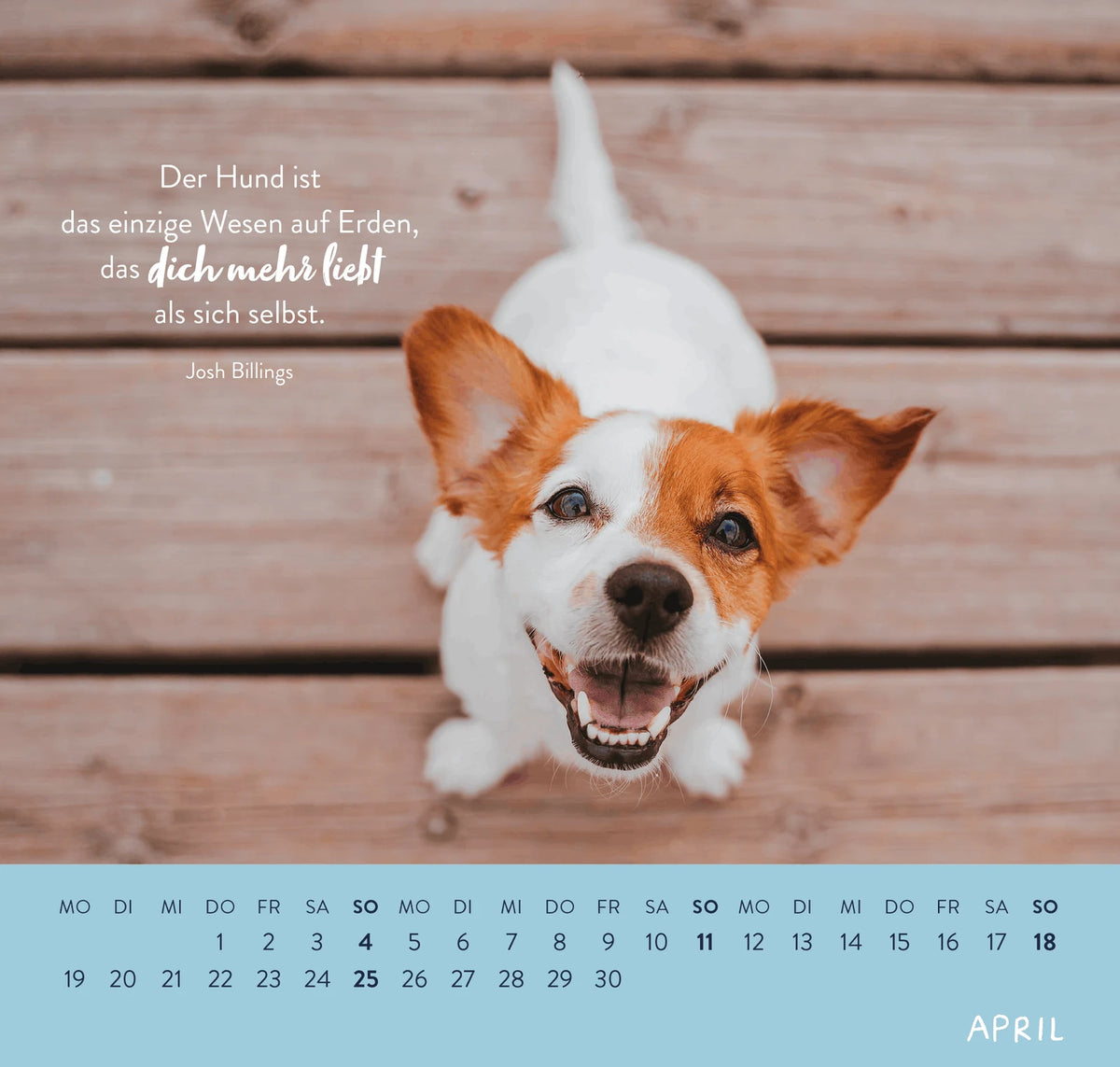 Wandkalender 2027: Für Hundefreunde – Ansicht