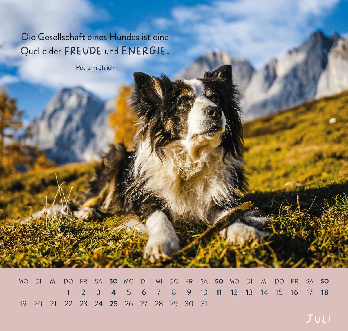 Wandkalender 2027: Für Hundefreunde – Ansicht
