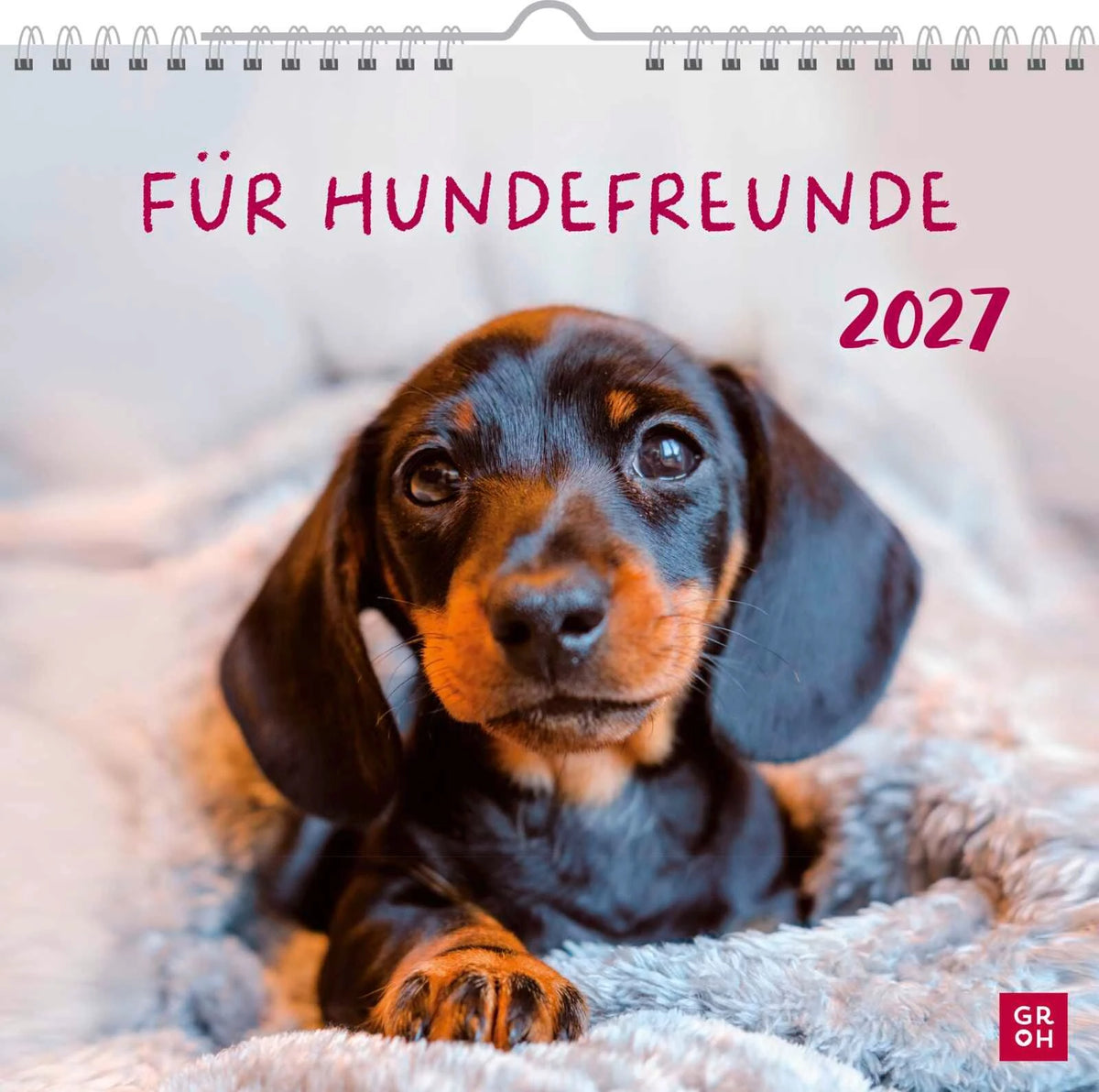 Wandkalender: Wandkalender 2027: Für Hundefreunde