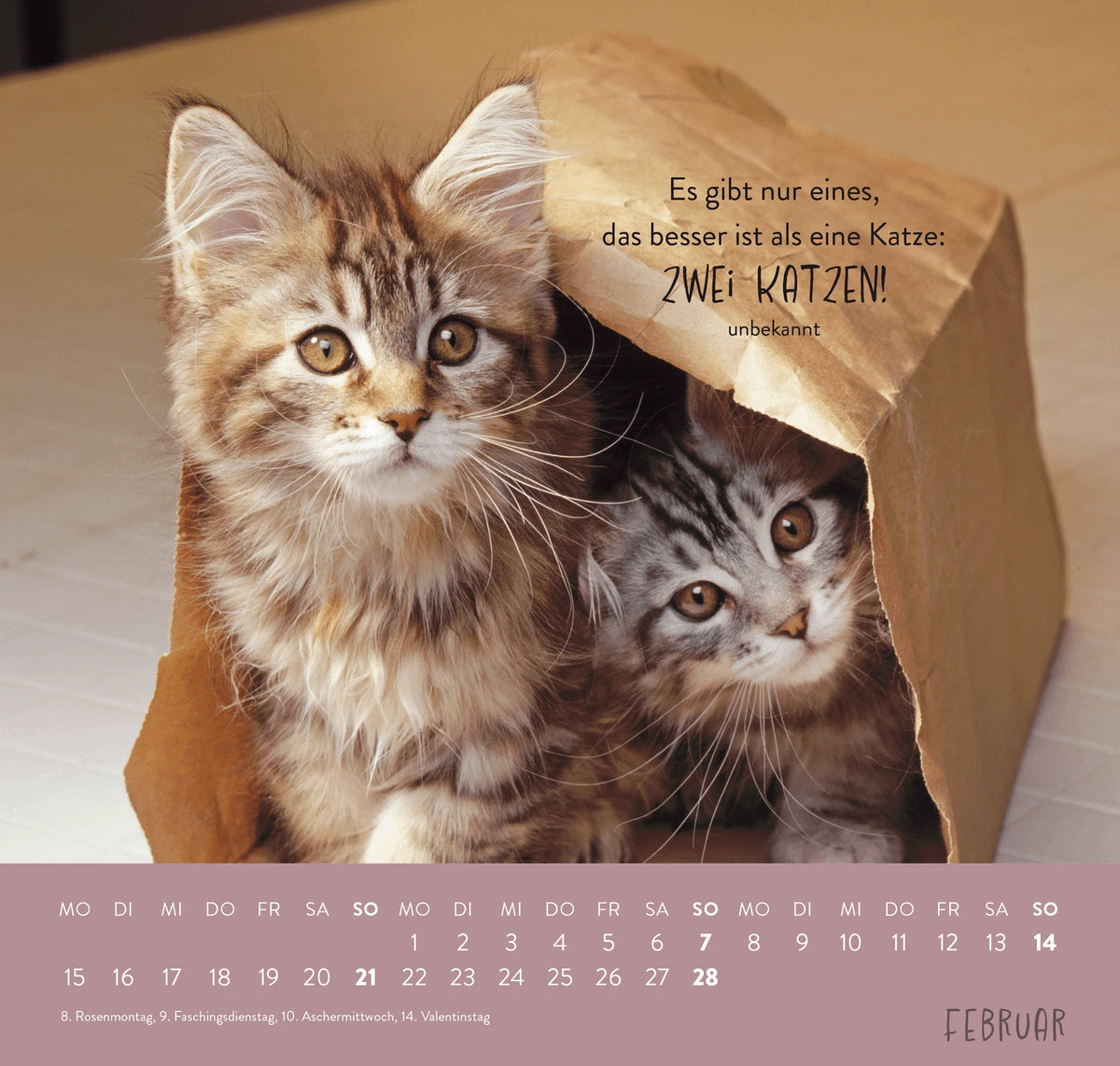 Wandkalender 2027: Für Katzenfreunde – Ansicht