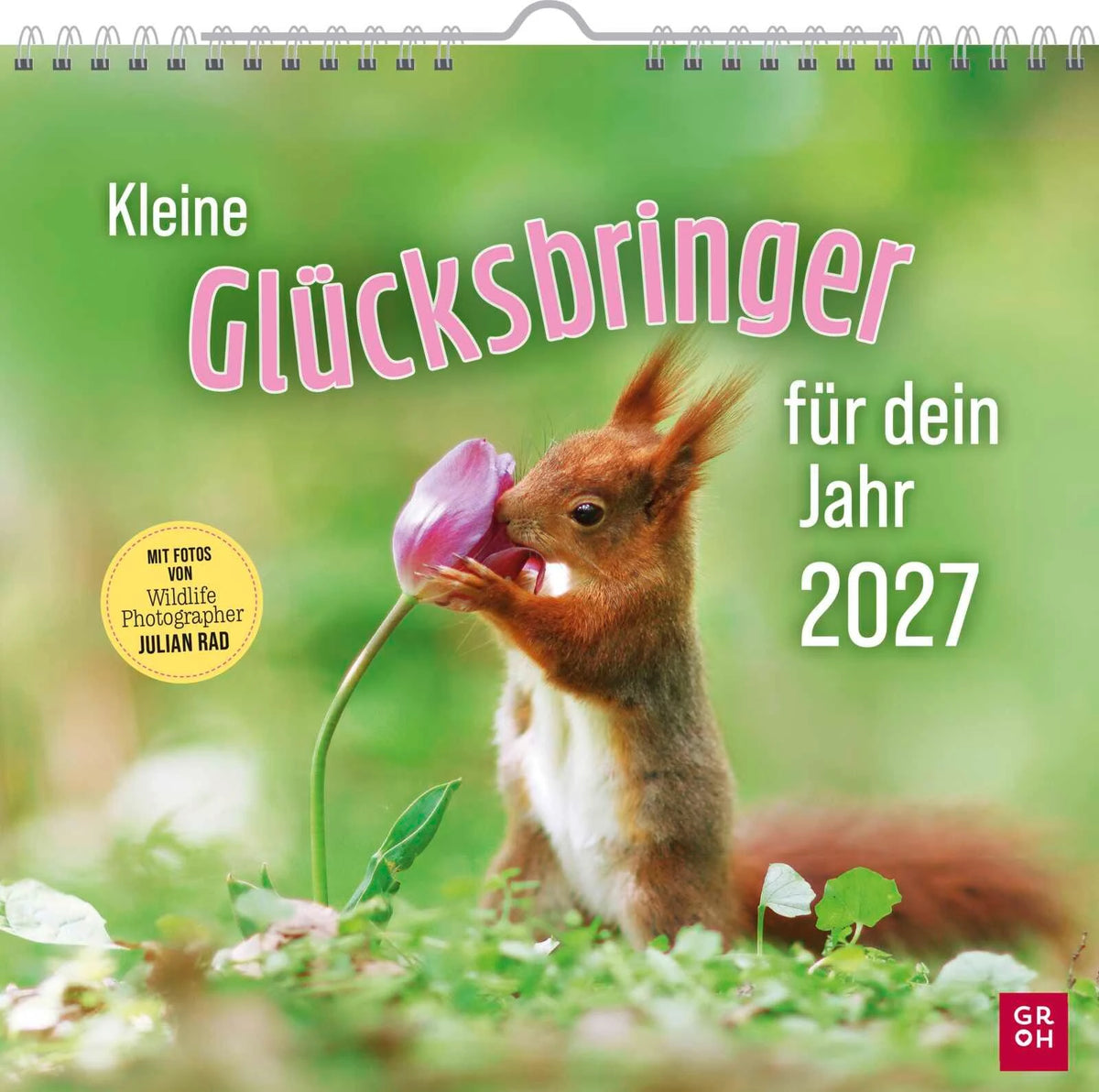Wandkalender: Wandkalender 2027: Kleine Glücksbringer für dein Jahr