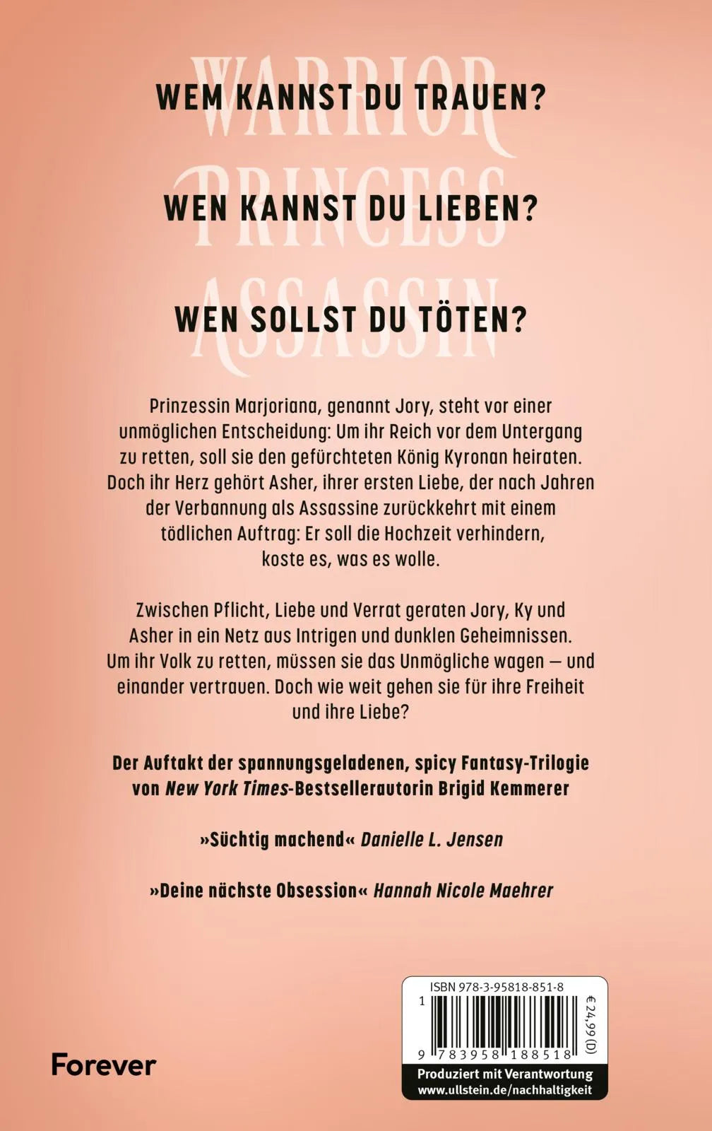 Buchrückseite von 'Warrior Princess Assassin' mit Klappentext - Gebundene Ausgabe