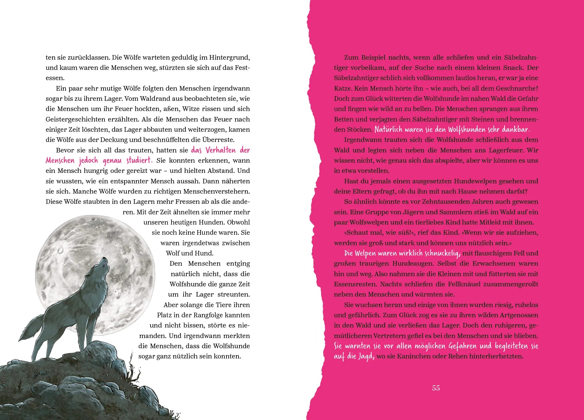 Detailansicht: Warum die Welt nicht fair ist (Hardcover)
