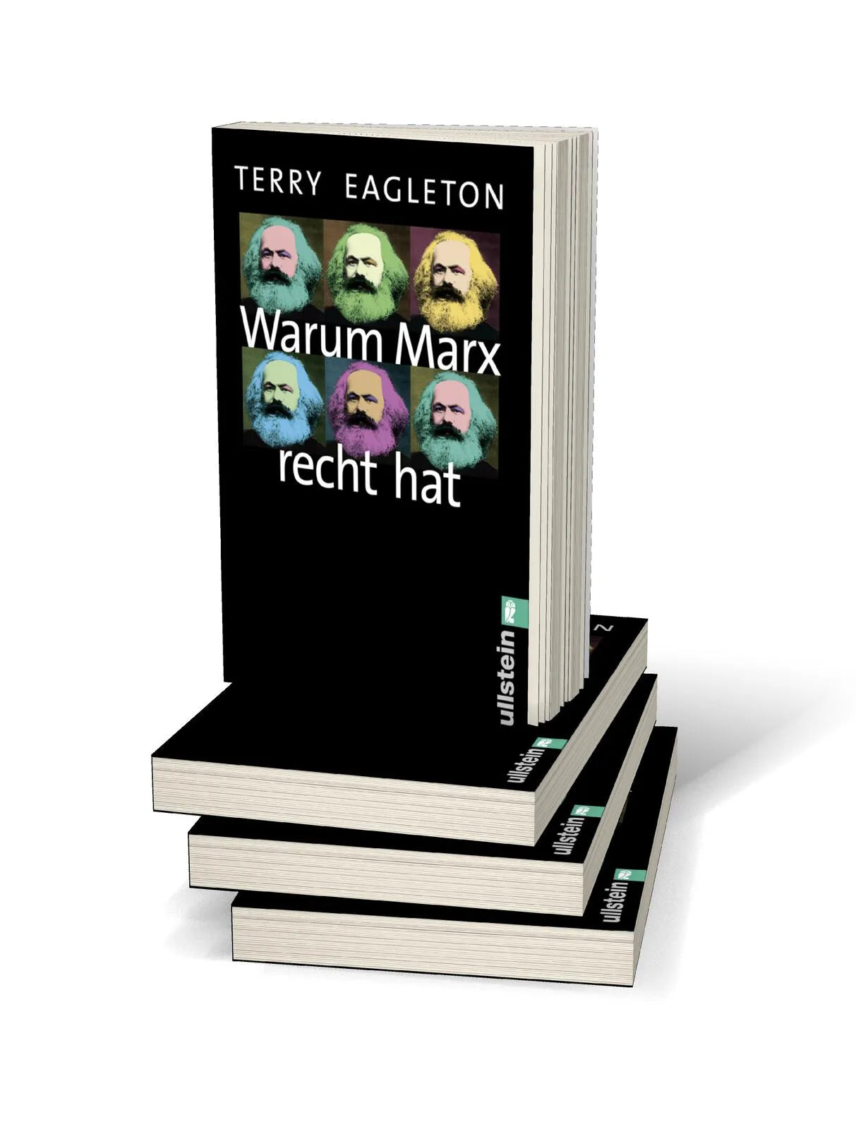 Produktansicht: Warum Marx recht hat (Taschenbuch)