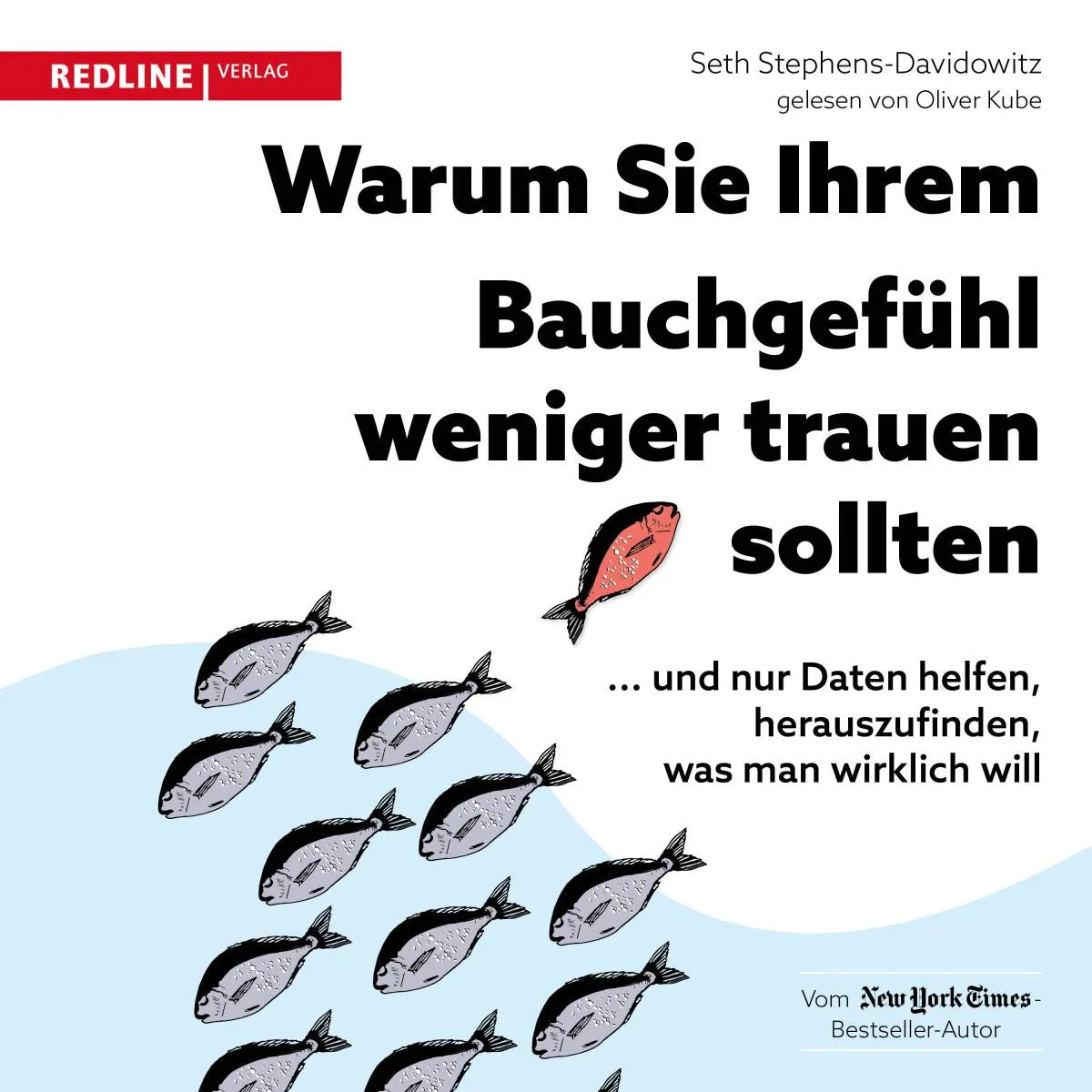 Cover: Warum Sie Ihrem Bauchgefühl weniger trauen sollten (Hörbuch Download) von Seth Stephens-Davidowitz