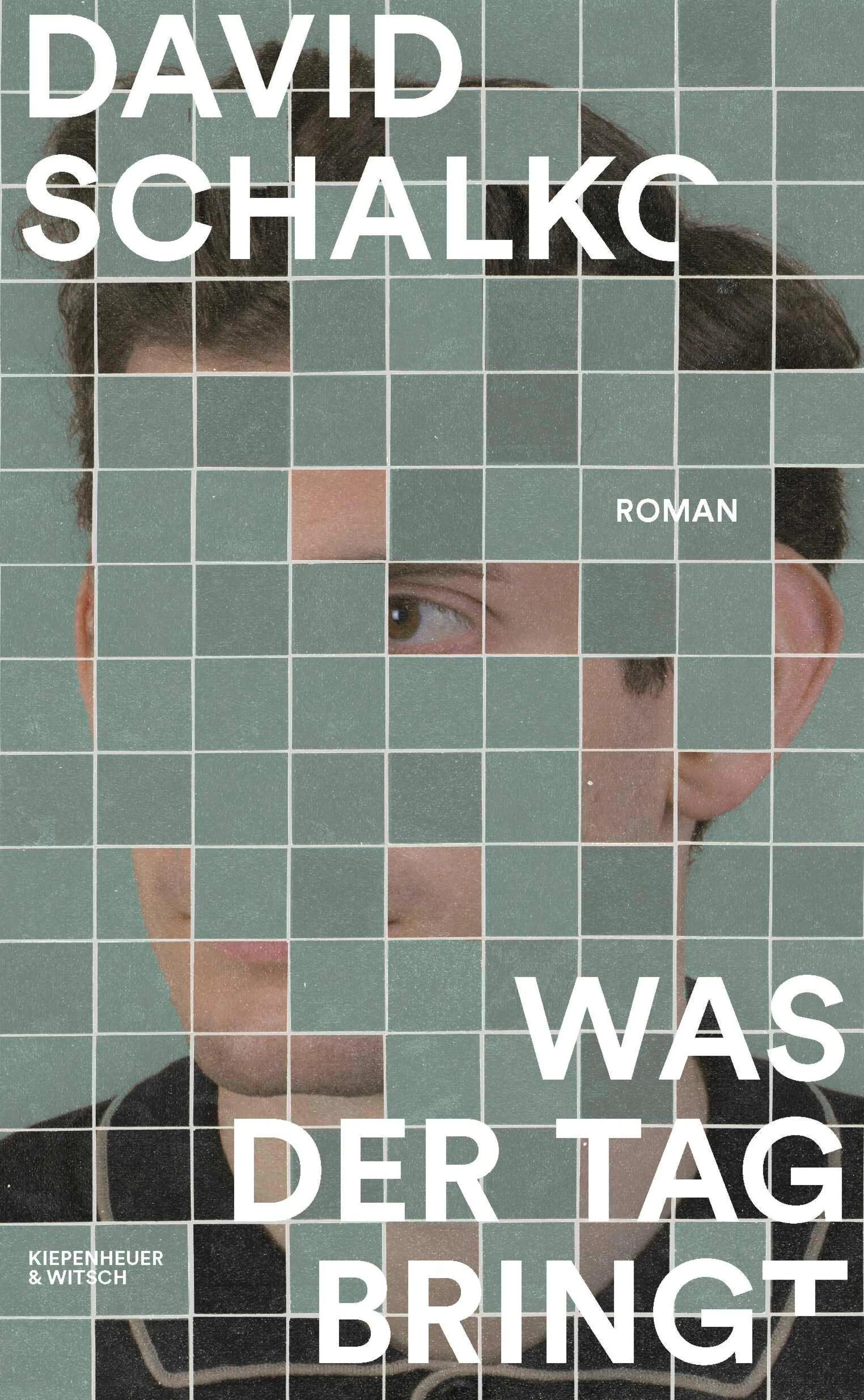 Cover: Was der Tag bringt (E-Book) von David Schalko
