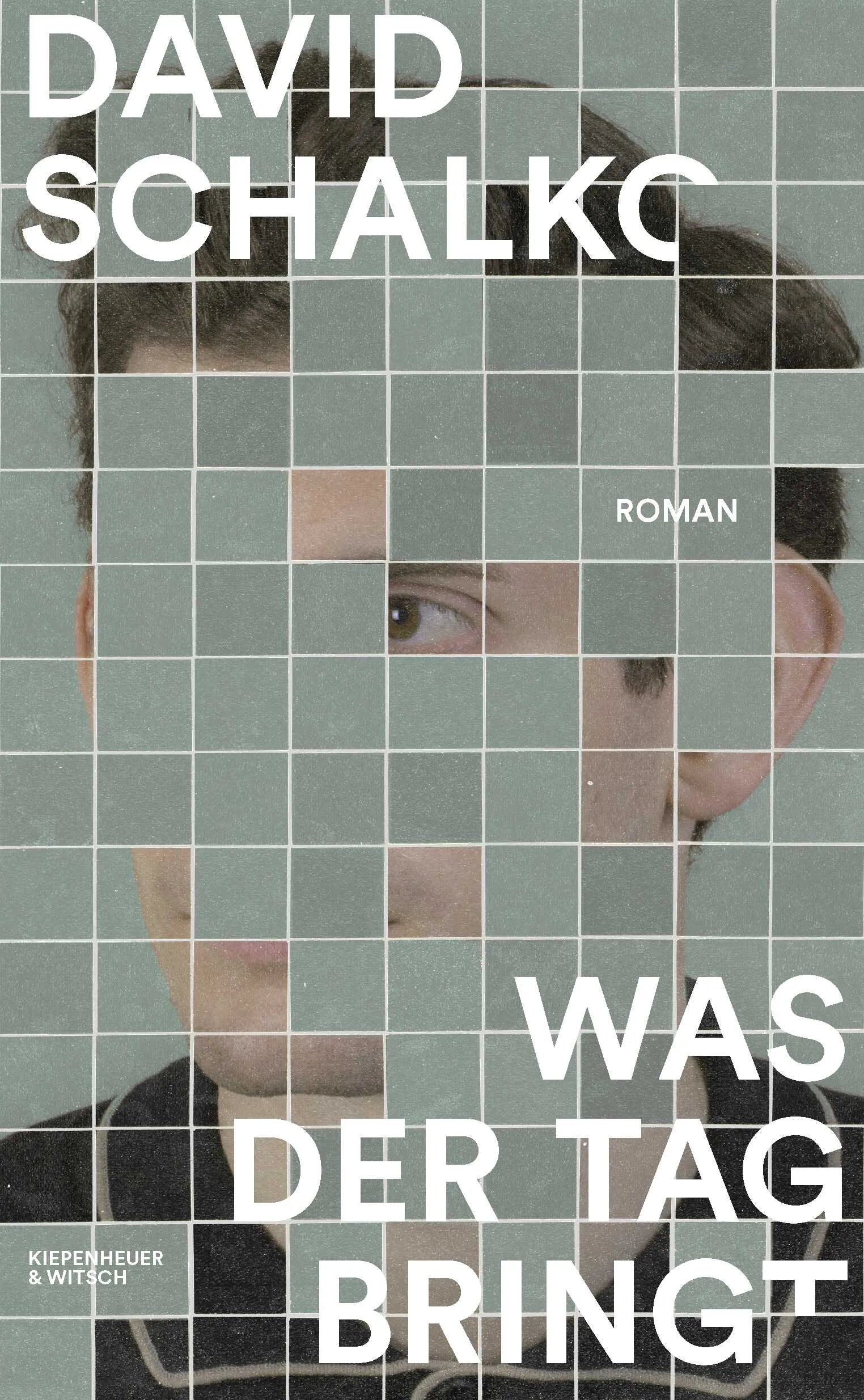 Buchcover von 'Was der Tag bringt' - Gebundene Ausgabe von David Schalko