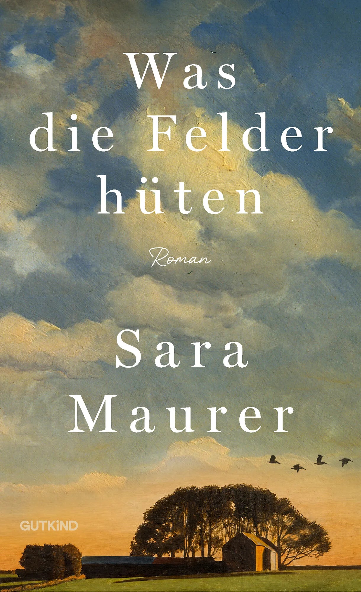 Cover: Was die Felder hüten (Hardcover) von Sara Maurer