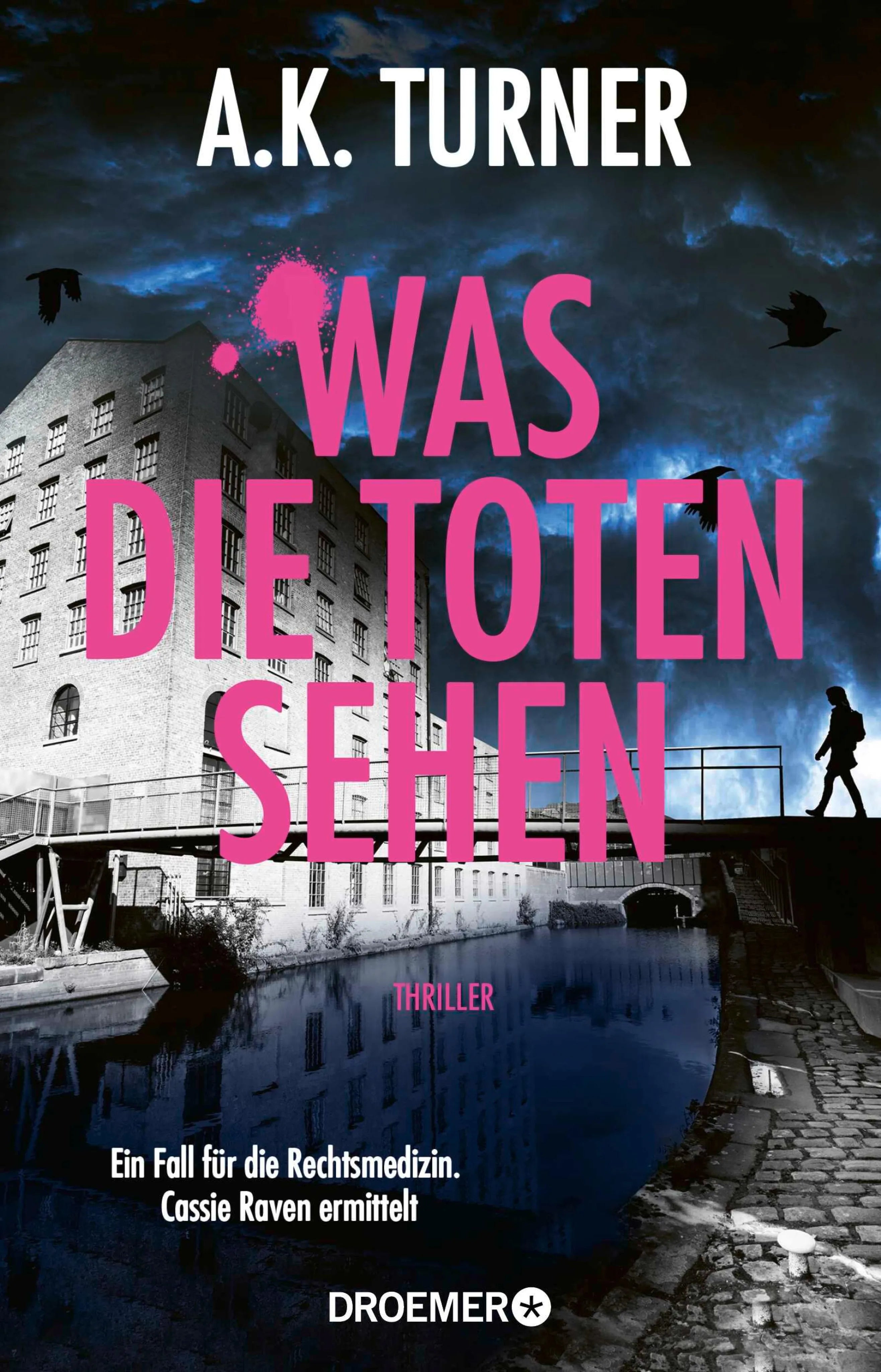 Cover: Was die Toten sehen (E-Book) von A. K. Turner