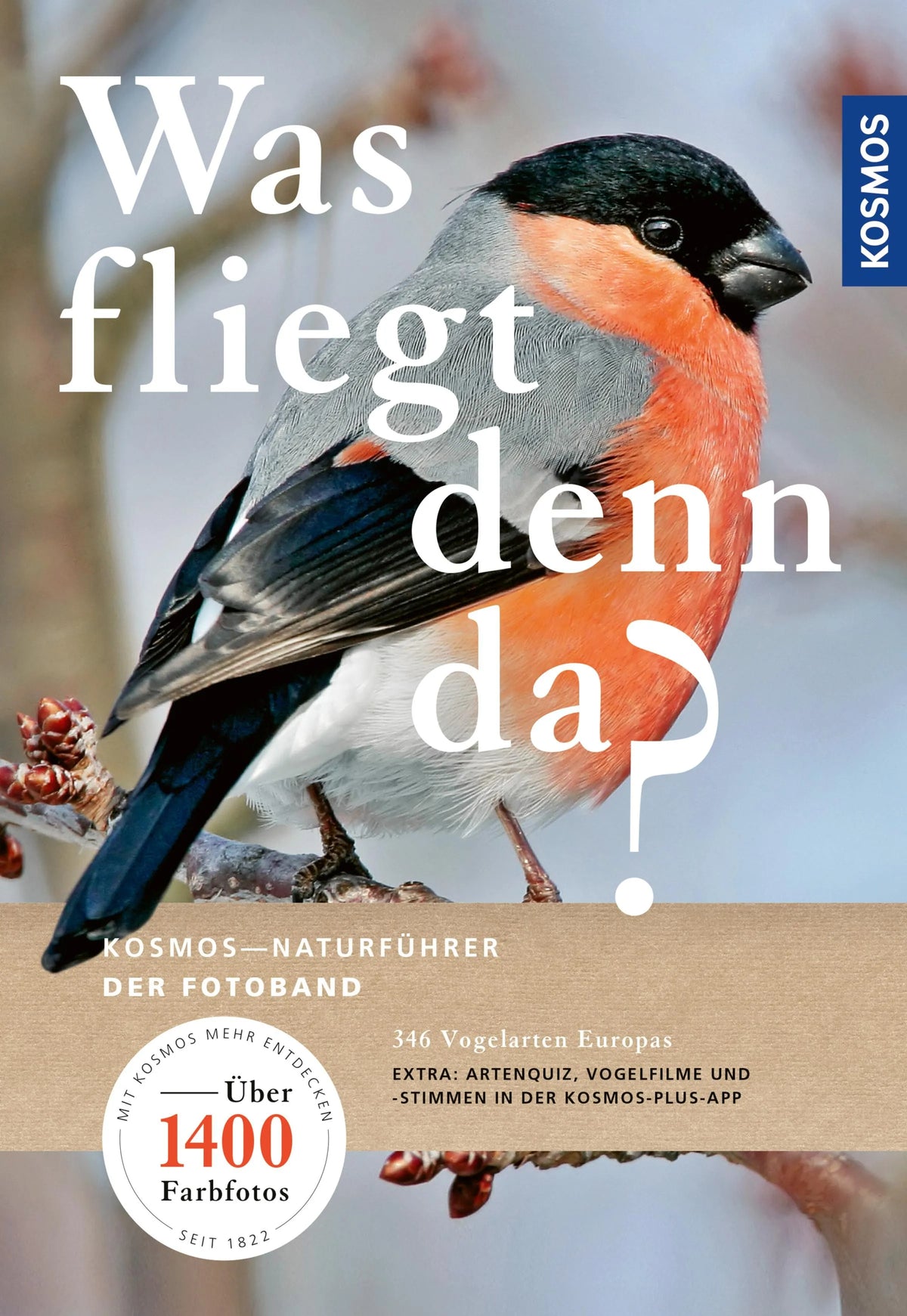 Cover: Was fliegt denn da? Der Fotoband (E-Book) von Detlef Singer