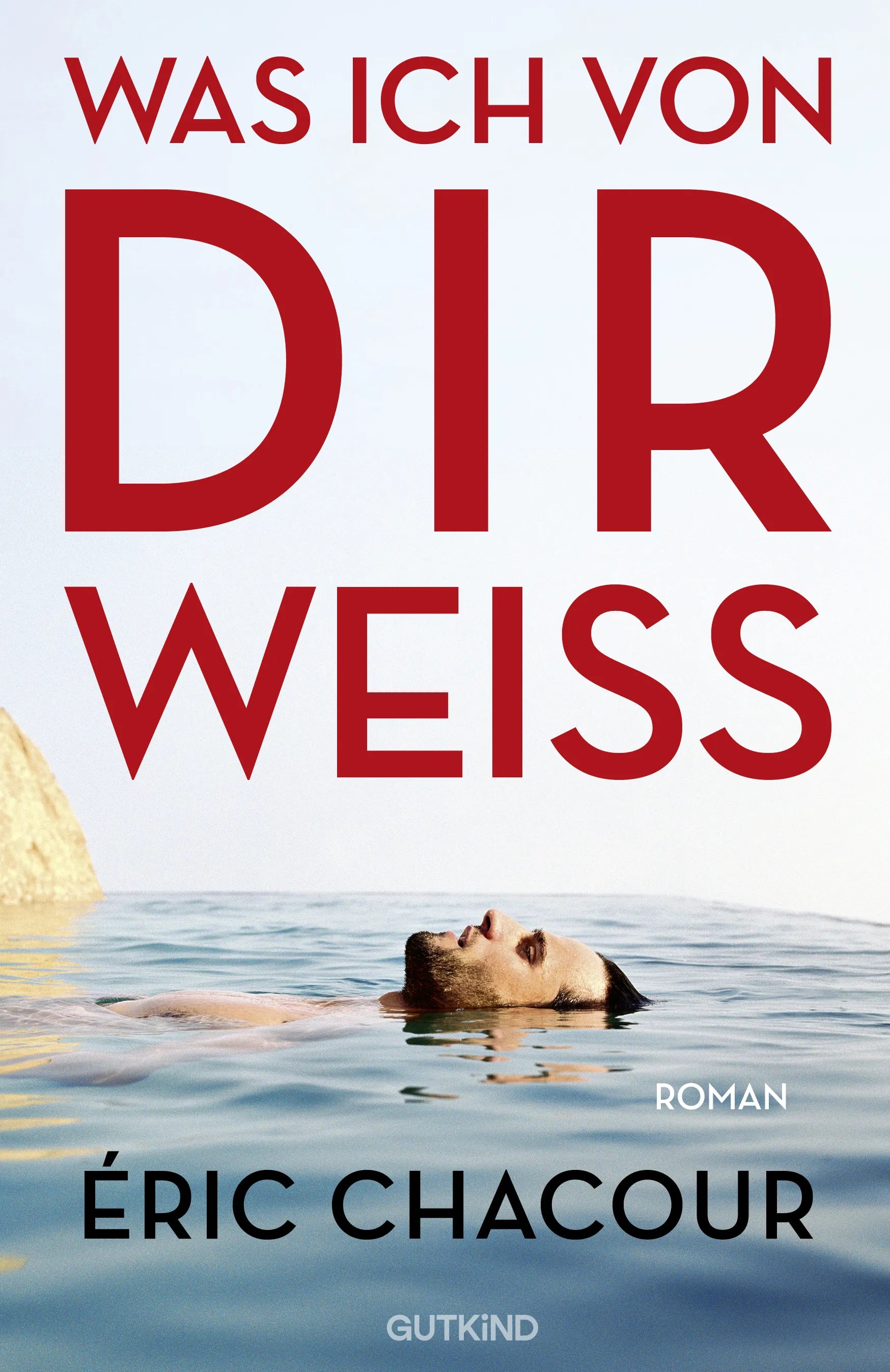 Buchcover von 'Was ich von dir weiß' - Taschenbuch von Éric Chacour