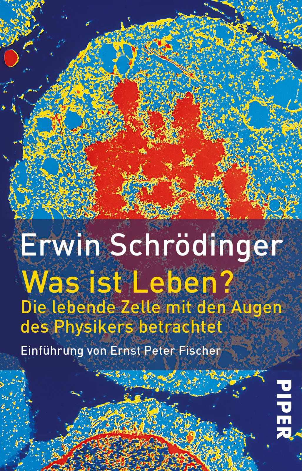 Buchcover von 'Was ist Leben?' - Taschenbuch von Erwin Schrödinger