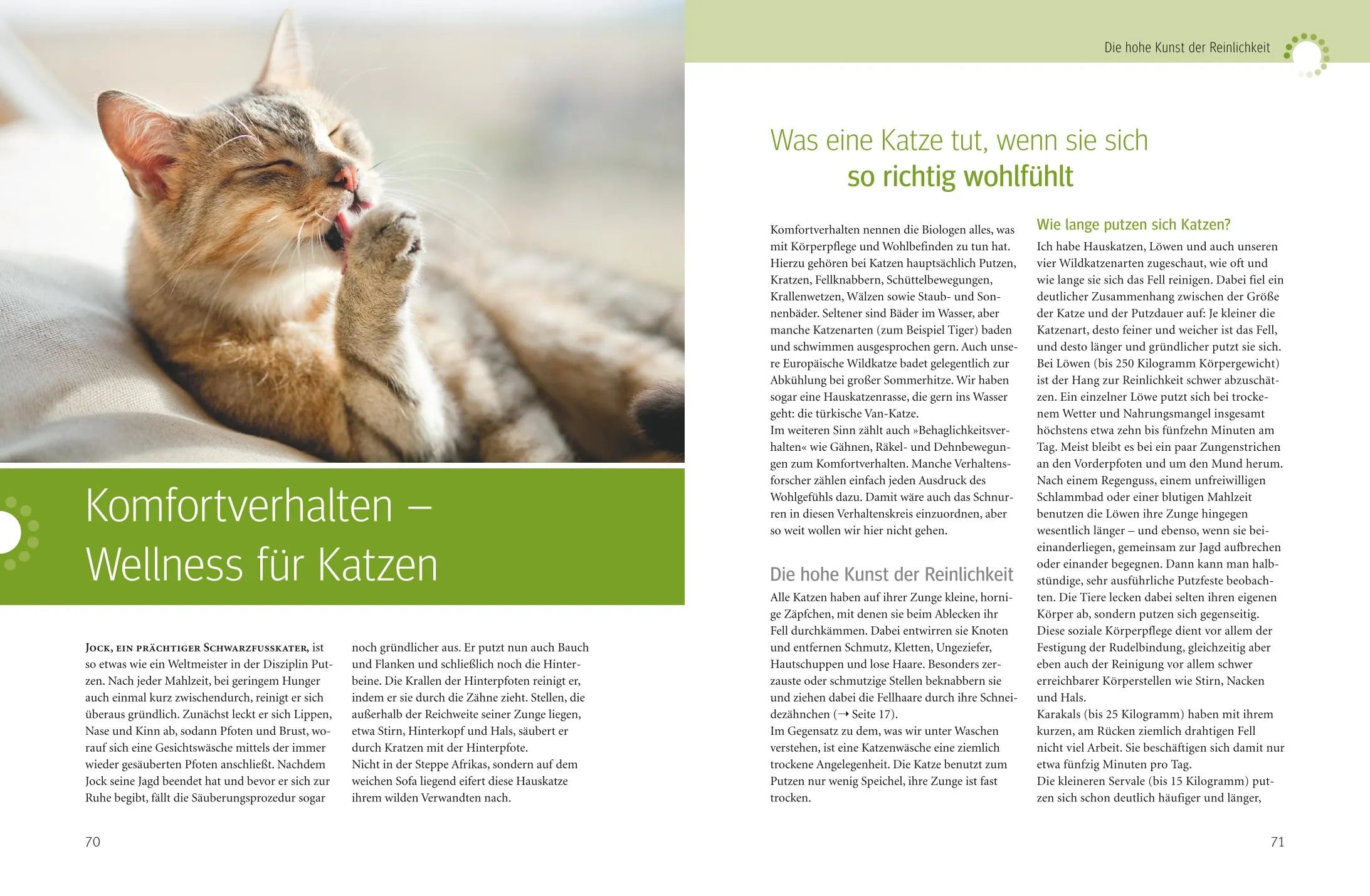 Mircea Pfleiderer - Was Katzen wirklich wollen