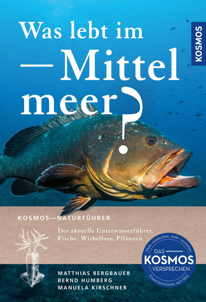 Was lebt im Mittelmeer?
