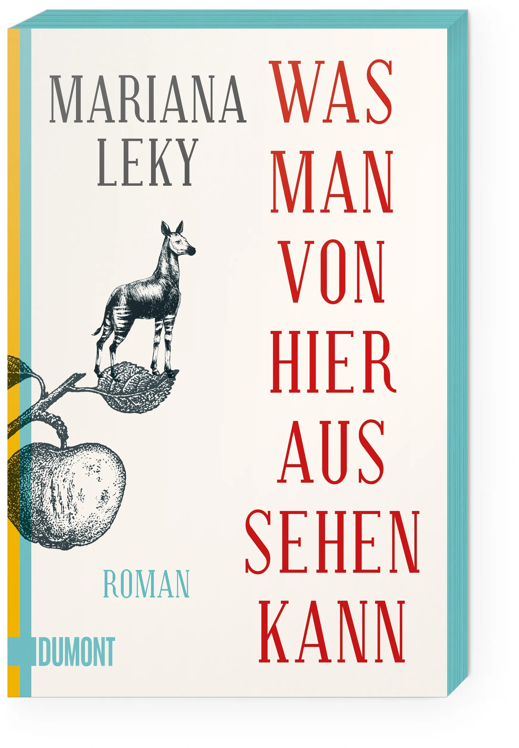 Produktansicht: Was man von hier aus sehen kann (Taschenbuch)