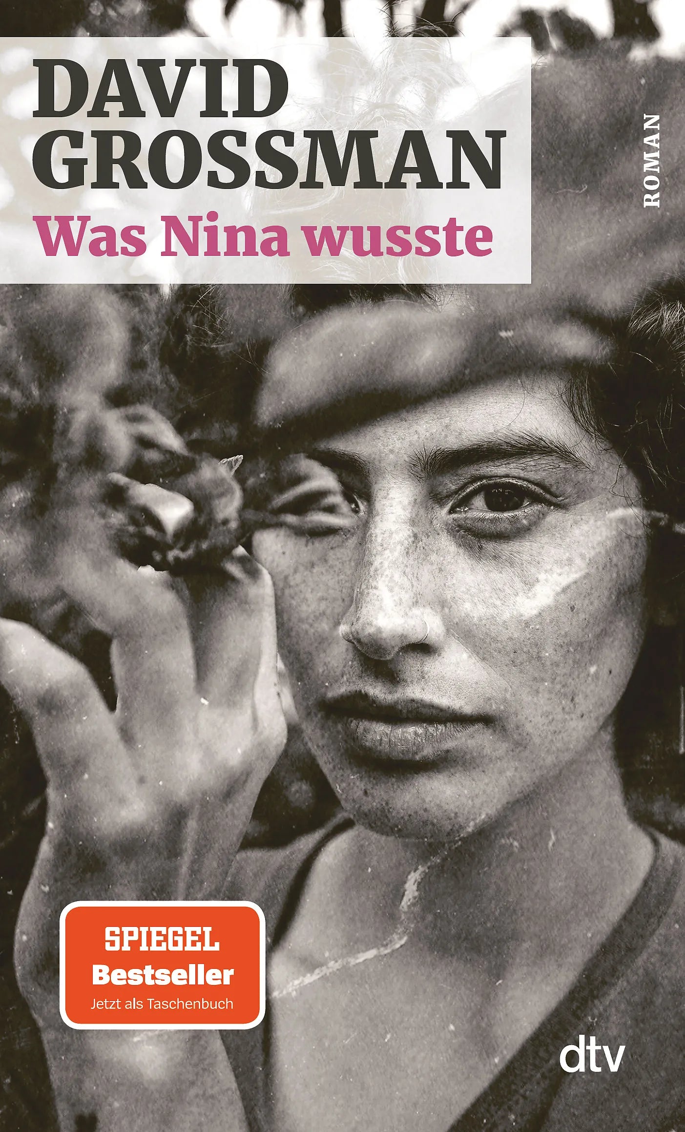 Buchcover von 'Was Nina wusste' - Taschenbuch von David Grossman