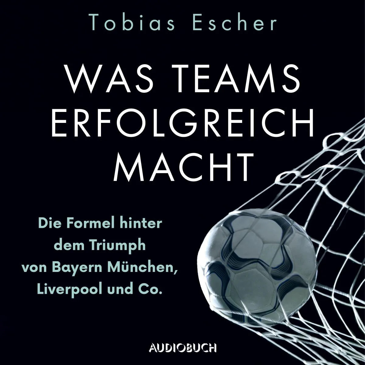 Cover: Was Teams erfolgreich macht - Die Formel hinter dem Triumph von Bayern München, Liverpool und Co. (Hörbuch Download) von Tobias Escher