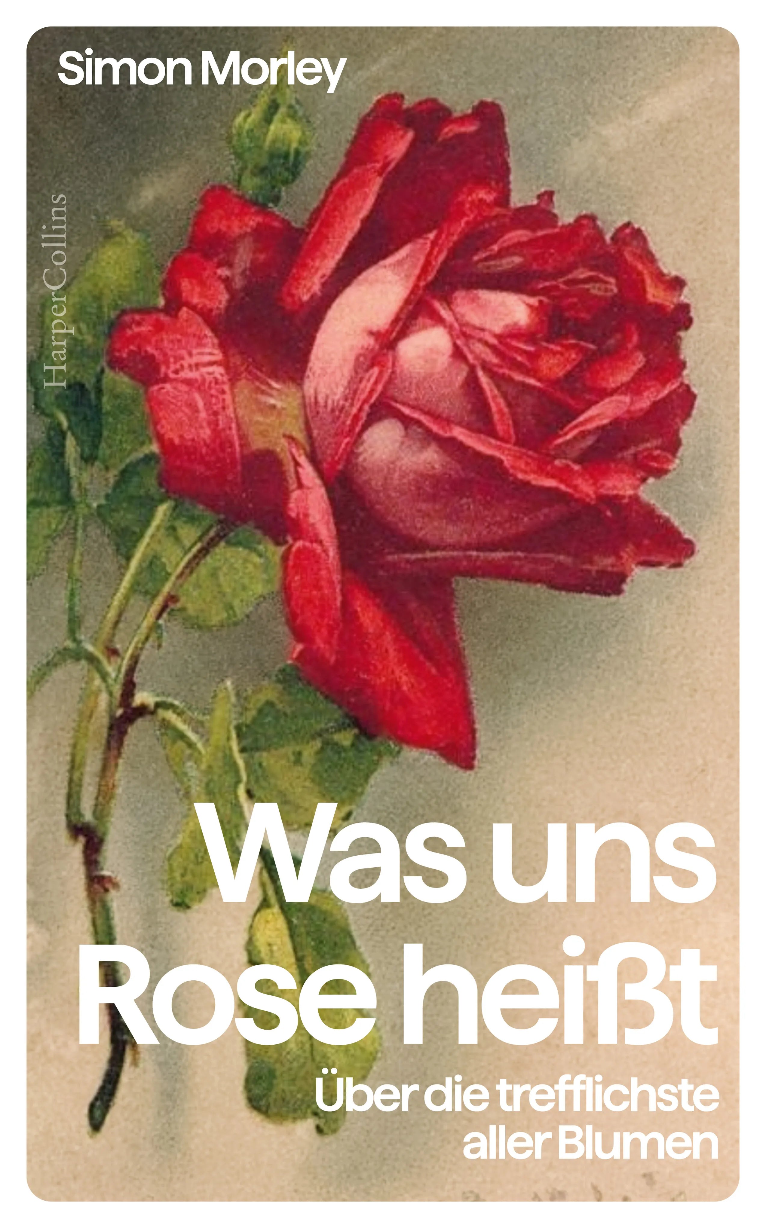Buchcover von 'Was uns Rose heißt. Über die trefflichste aller Blumen' - Gebundene Ausgabe von Simon Morley