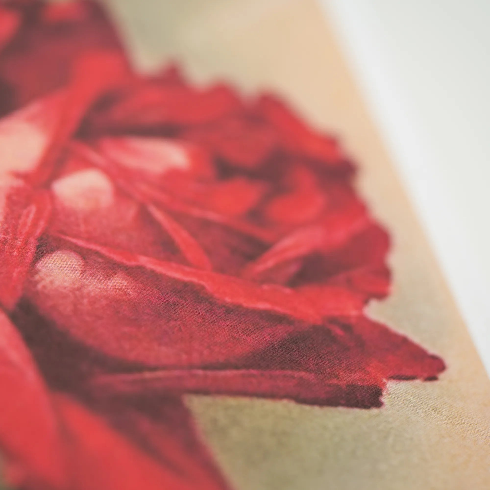 Produktansicht: Was uns Rose heißt. Über die trefflichste aller Blumen (Gebundene Ausgabe)