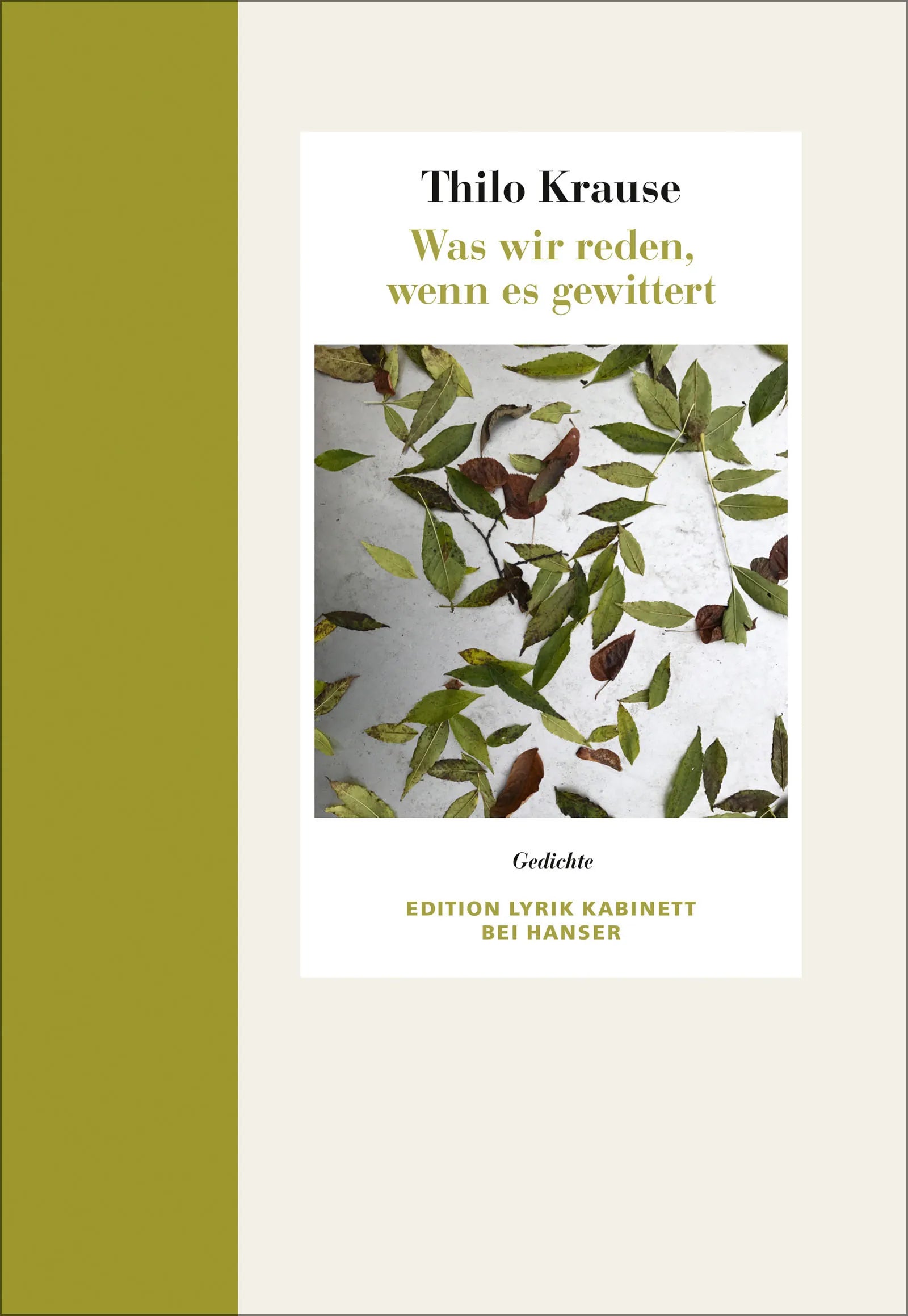 Buchcover von 'Was wir reden, wenn es gewittert' - Gebundene Ausgabe von Thilo Krause