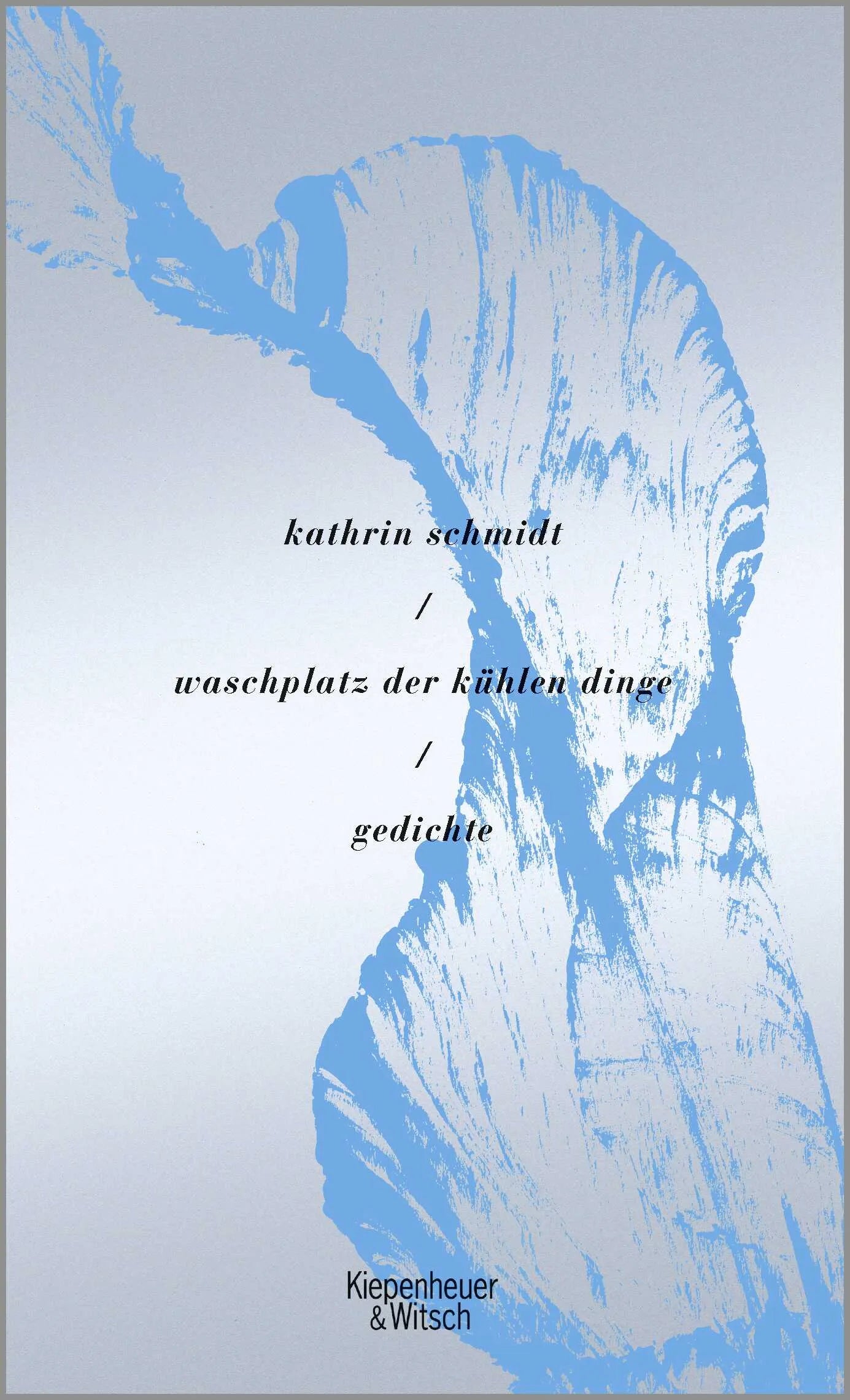 Buchcover von 'waschplatz der kühlen dinge' - Gebundene Ausgabe von Kathrin Schmidt